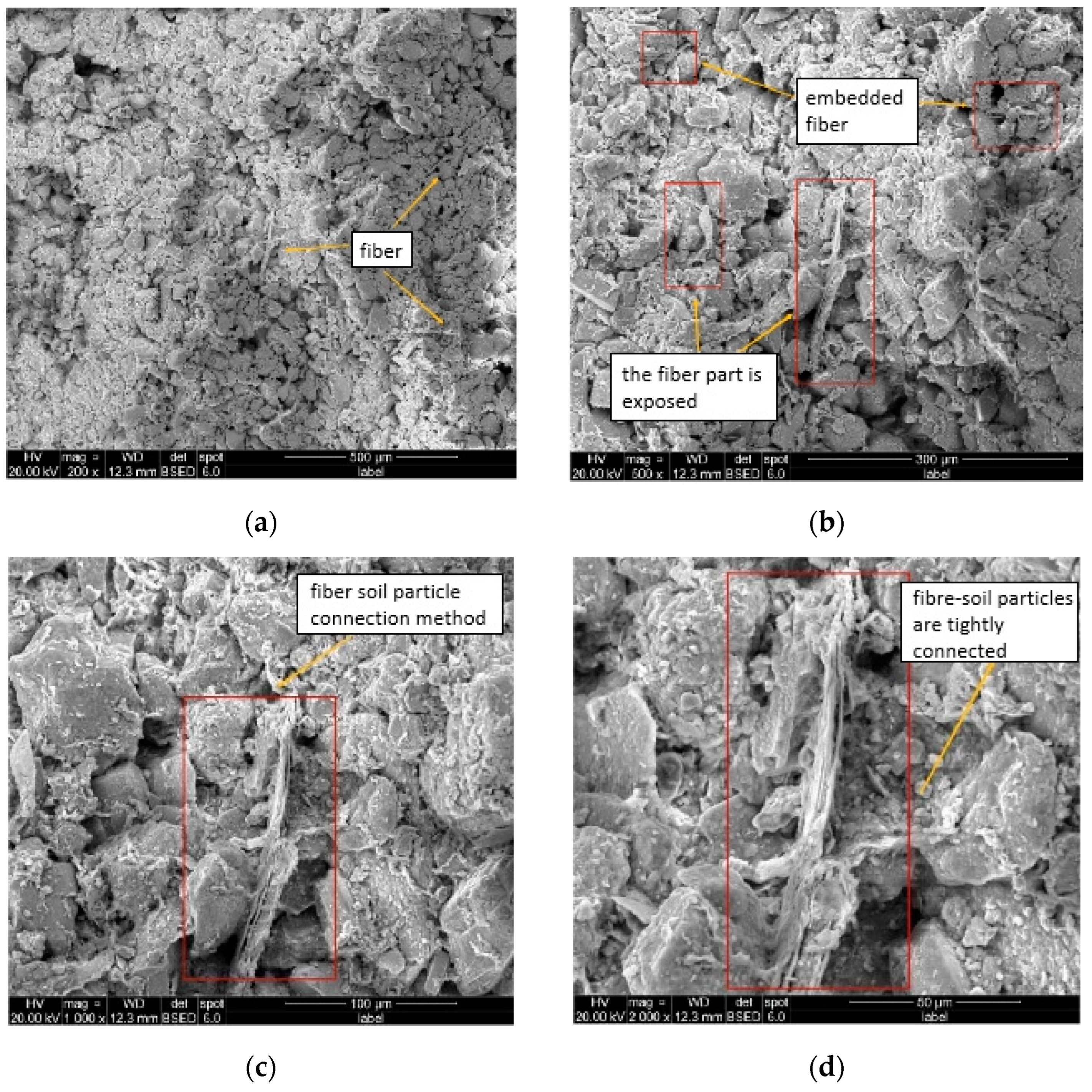 Coatings 12 01647 g009