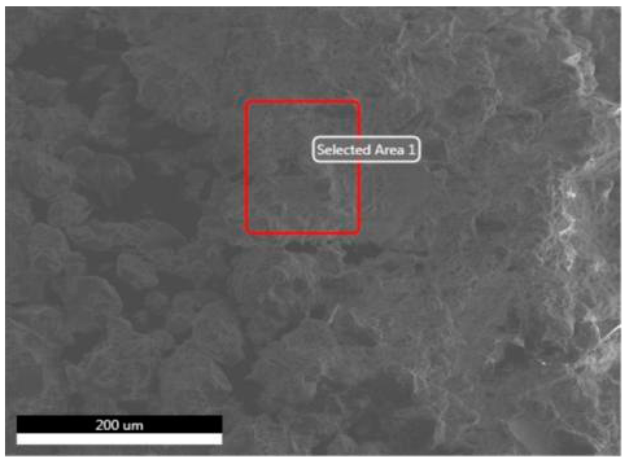 Coatings 12 01647 g010