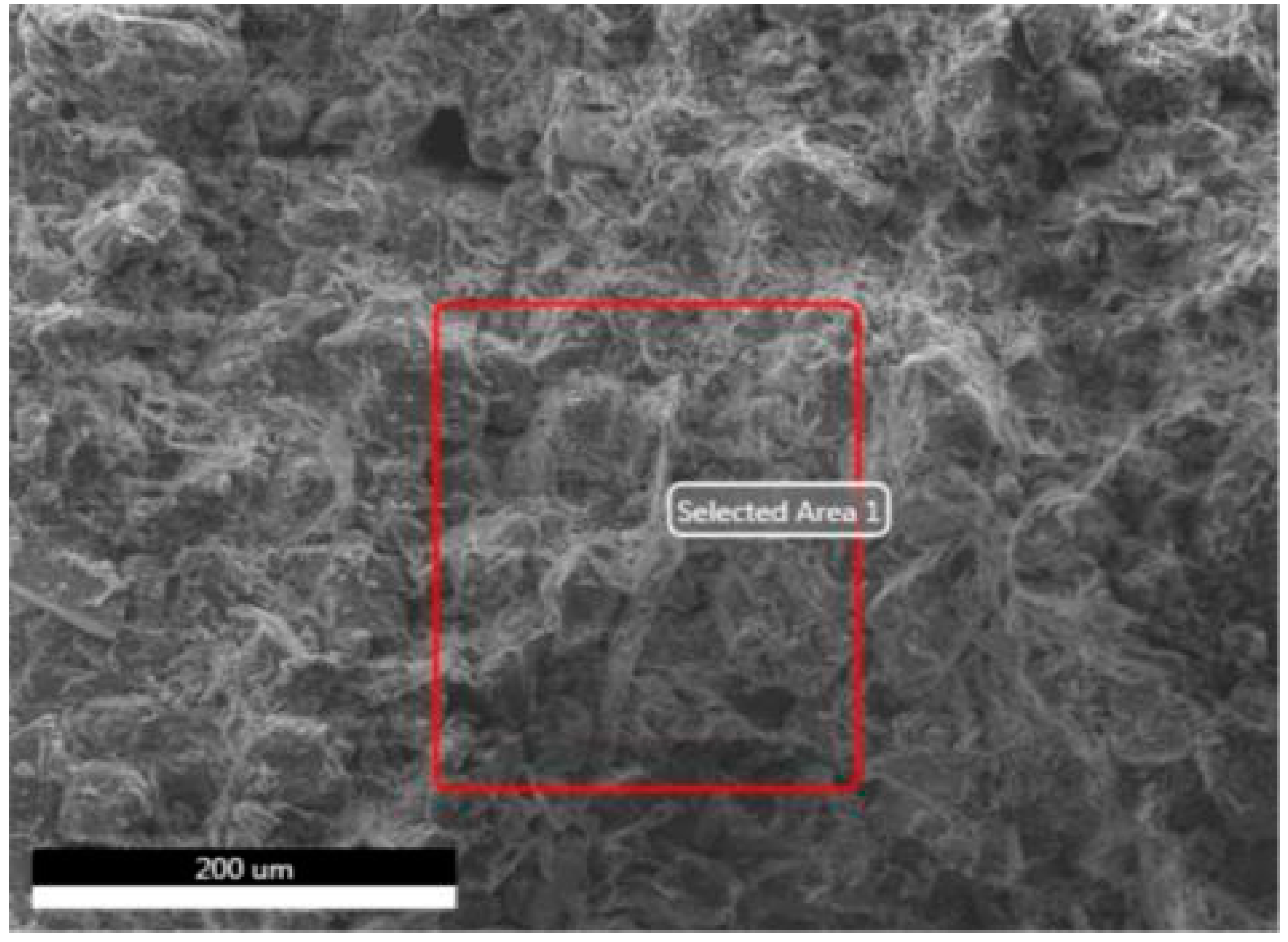 Coatings 12 01647 g012