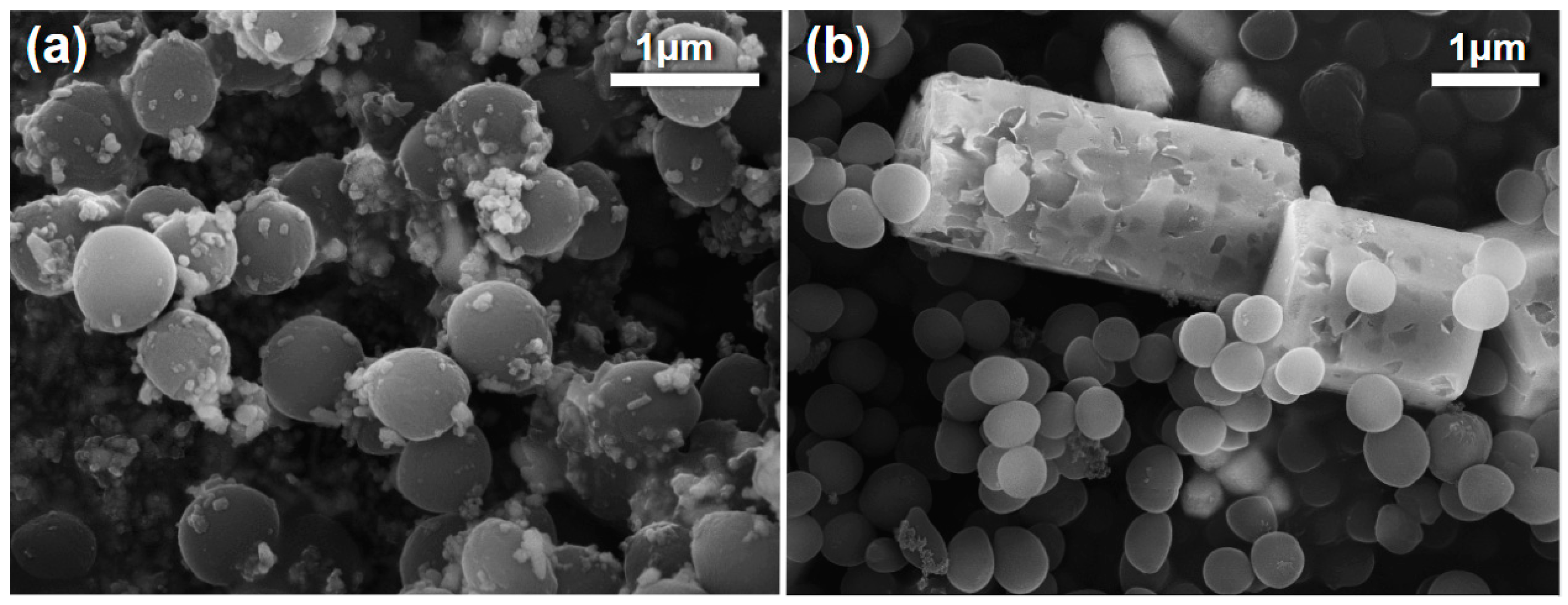 Coatings 12 01648 g006