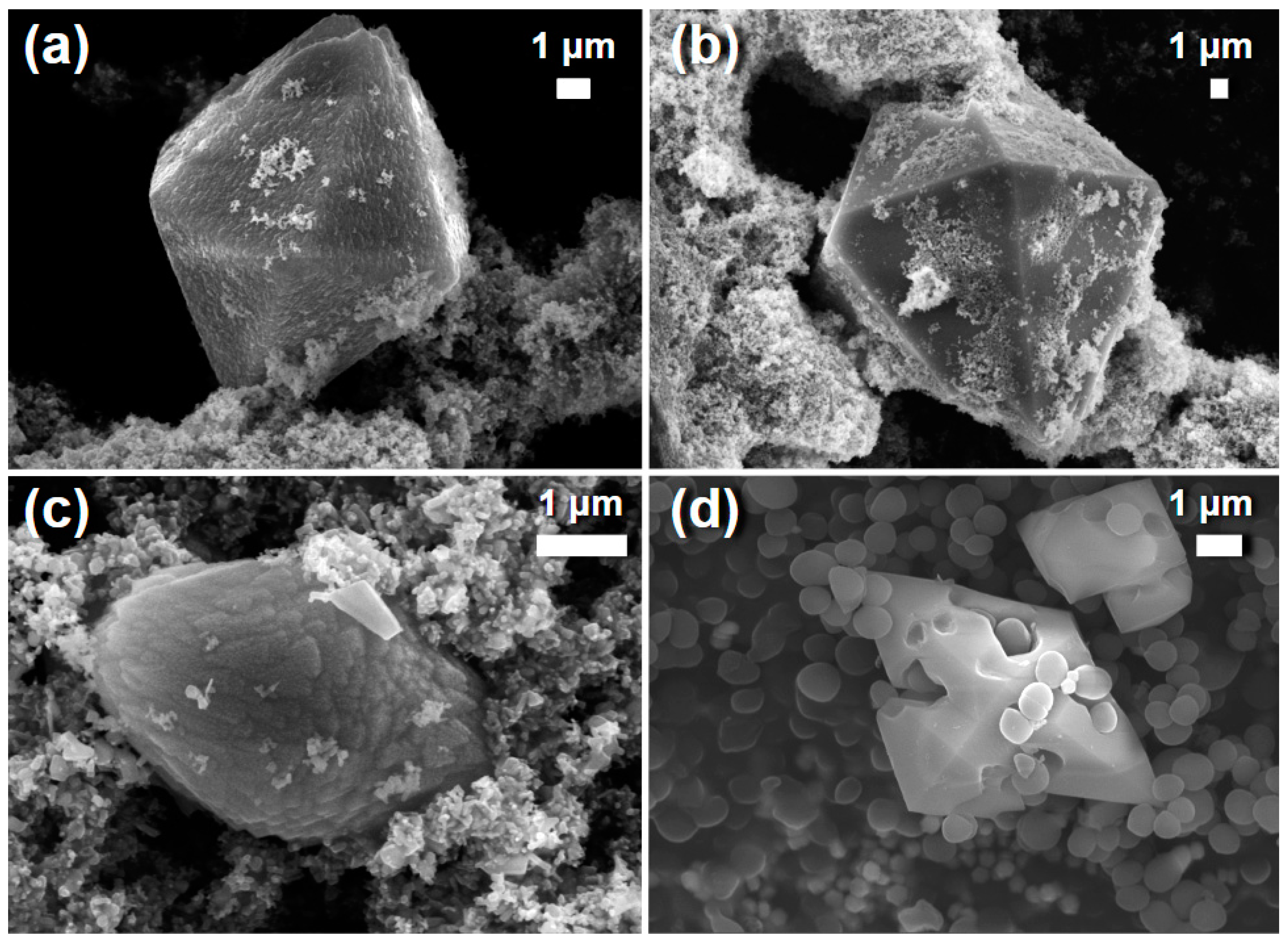 Coatings 12 01648 g007