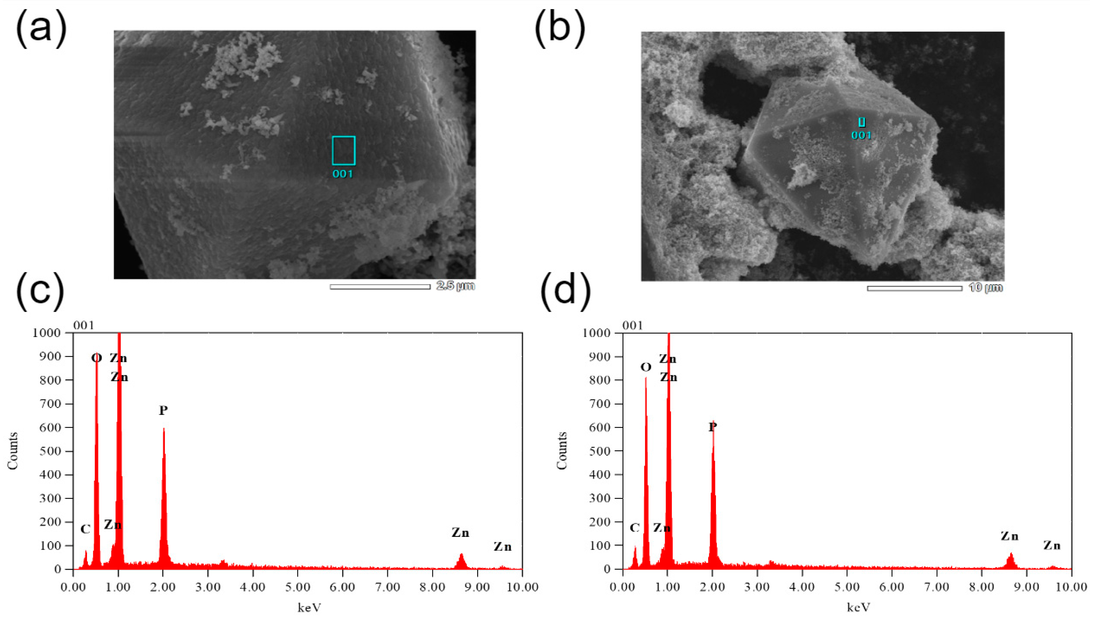 Coatings 12 01648 g008