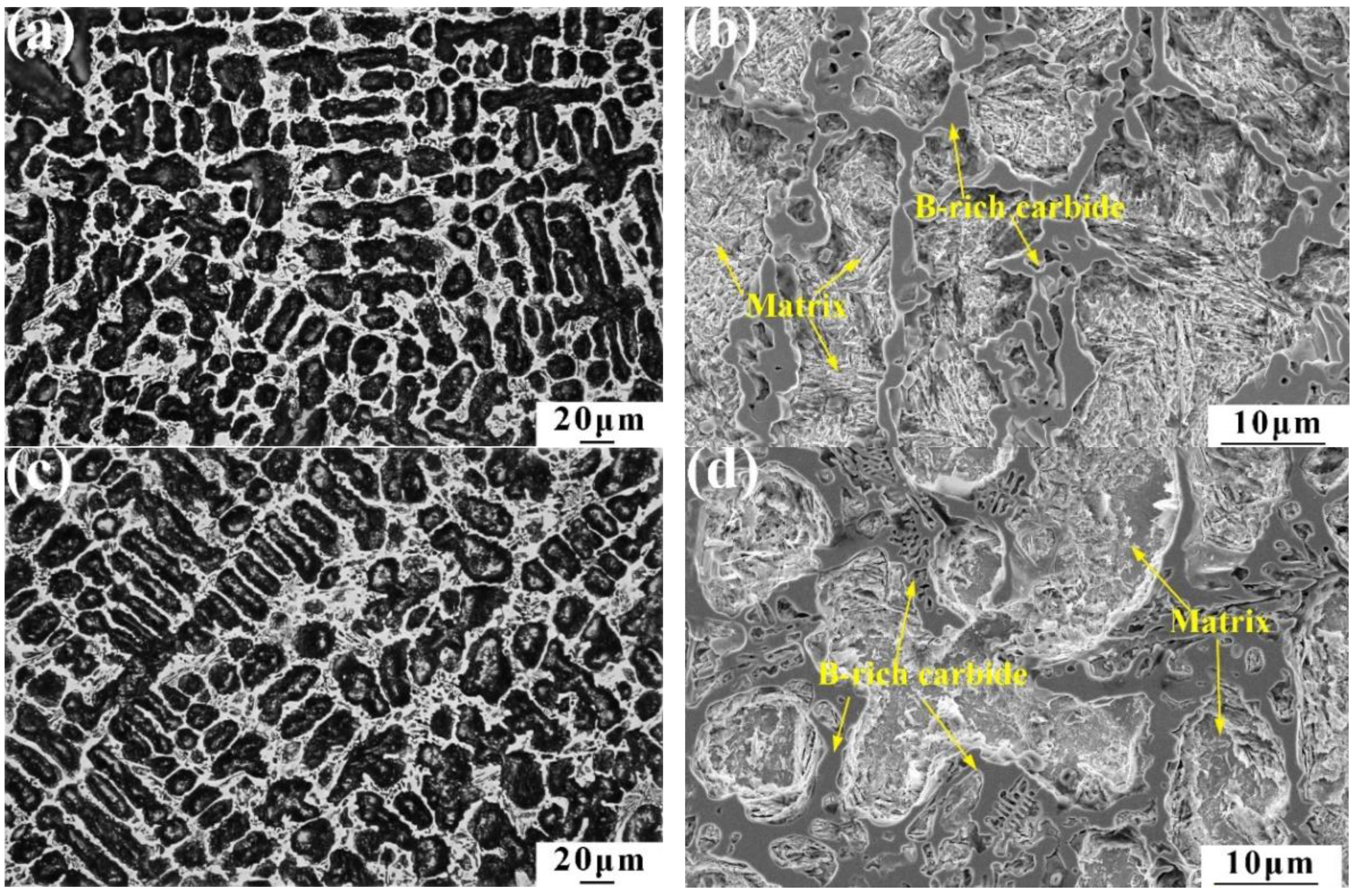 Coatings 12 01650 g001 Coatings 12 01650 g001