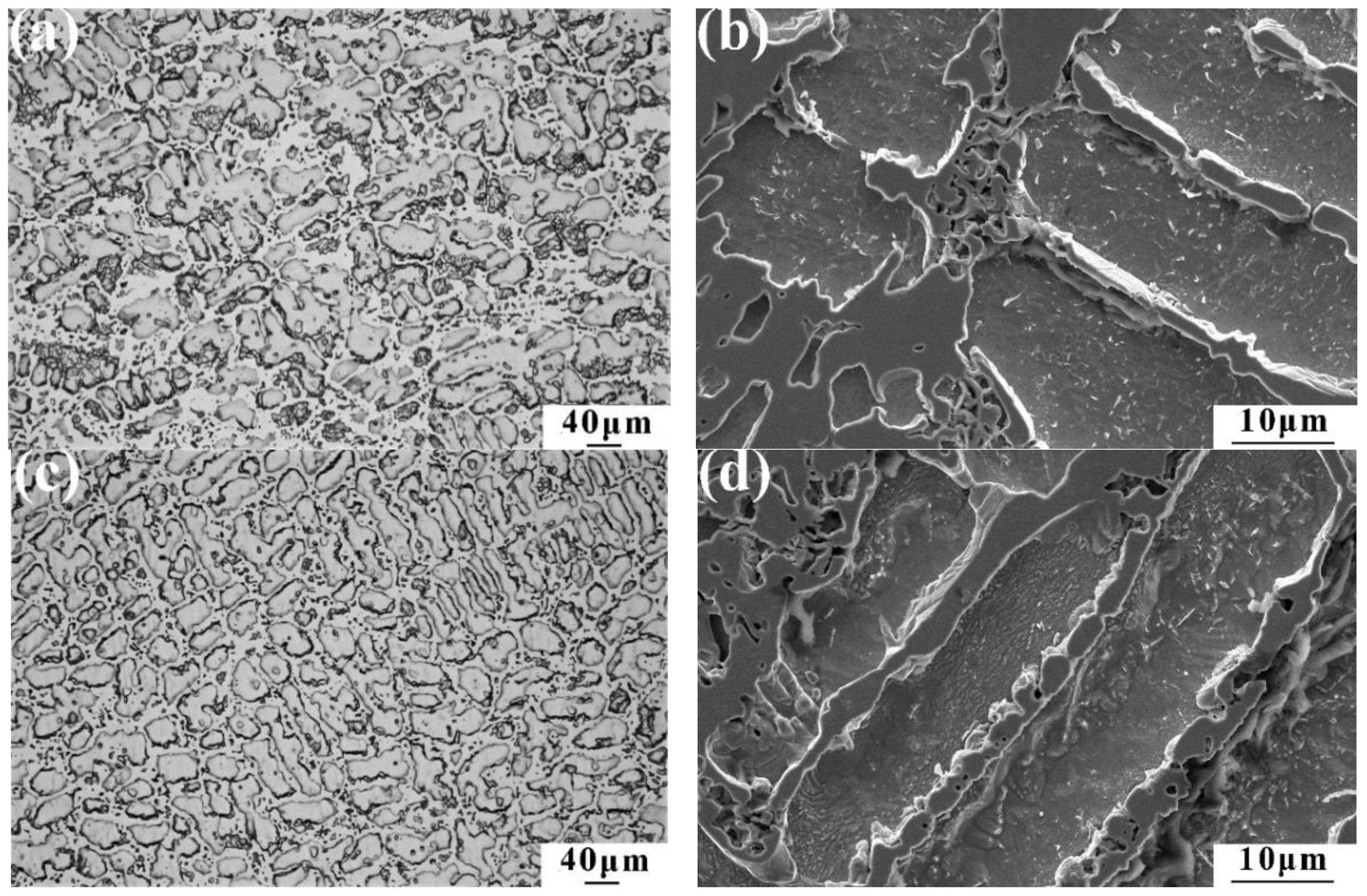 Coatings 12 01650 g004a Coatings 12 01650 g004a