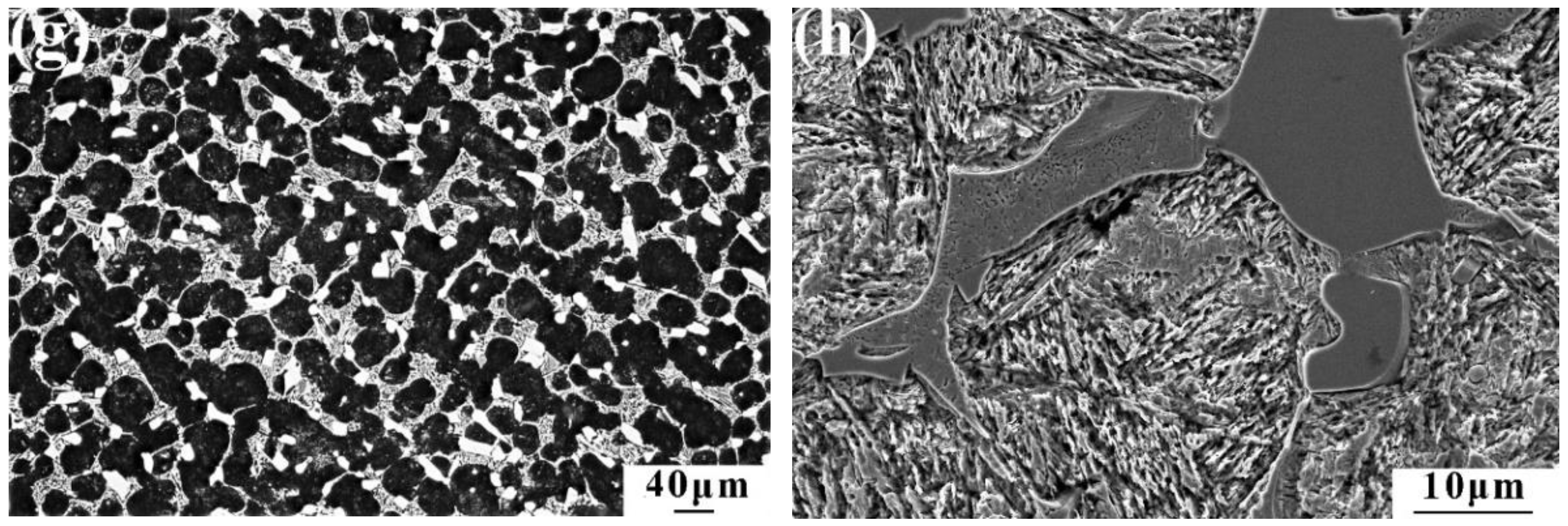 Coatings 12 01650 g005b Coatings 12 01650 g005b