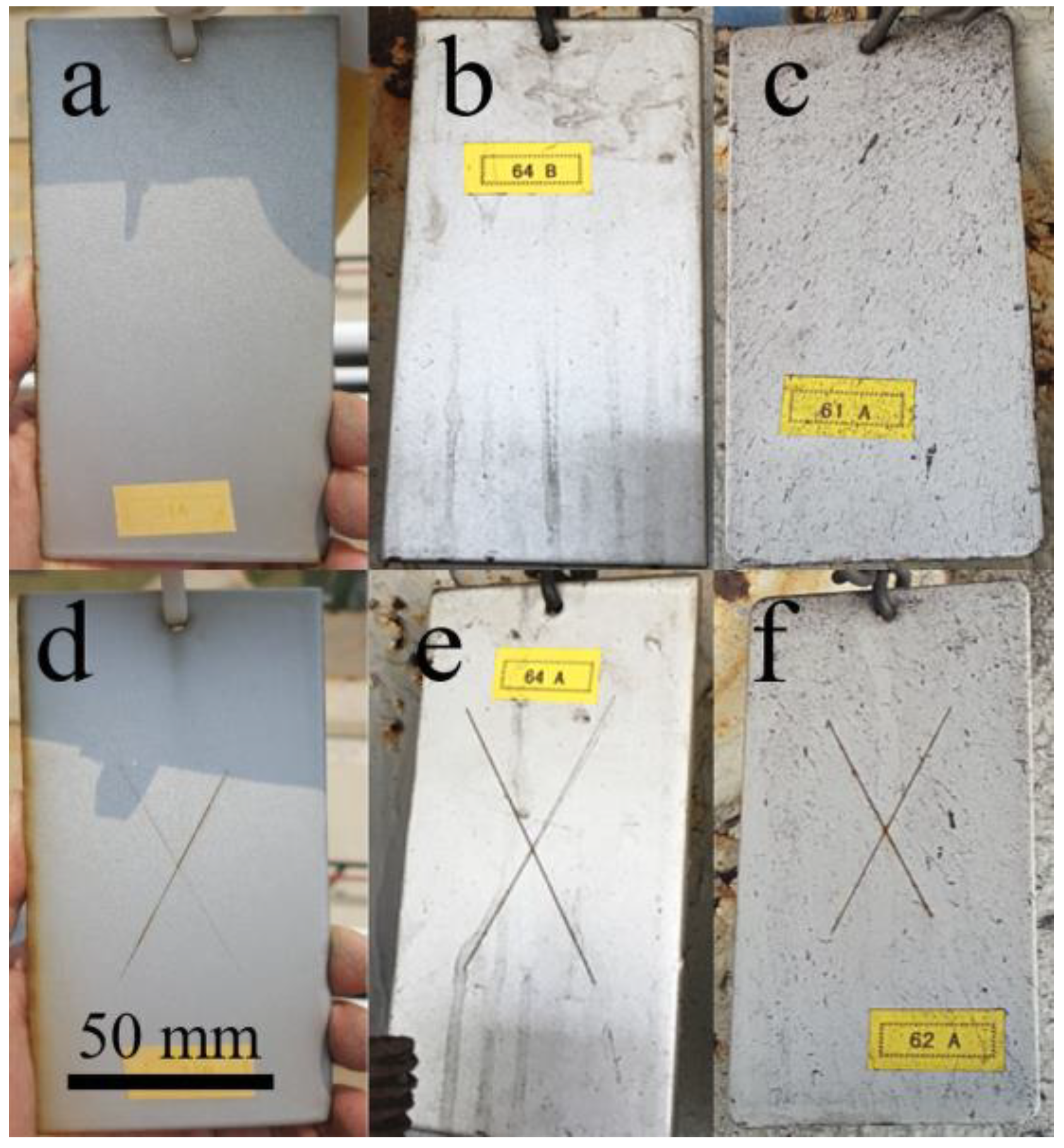 Coatings 12 01651 g001
