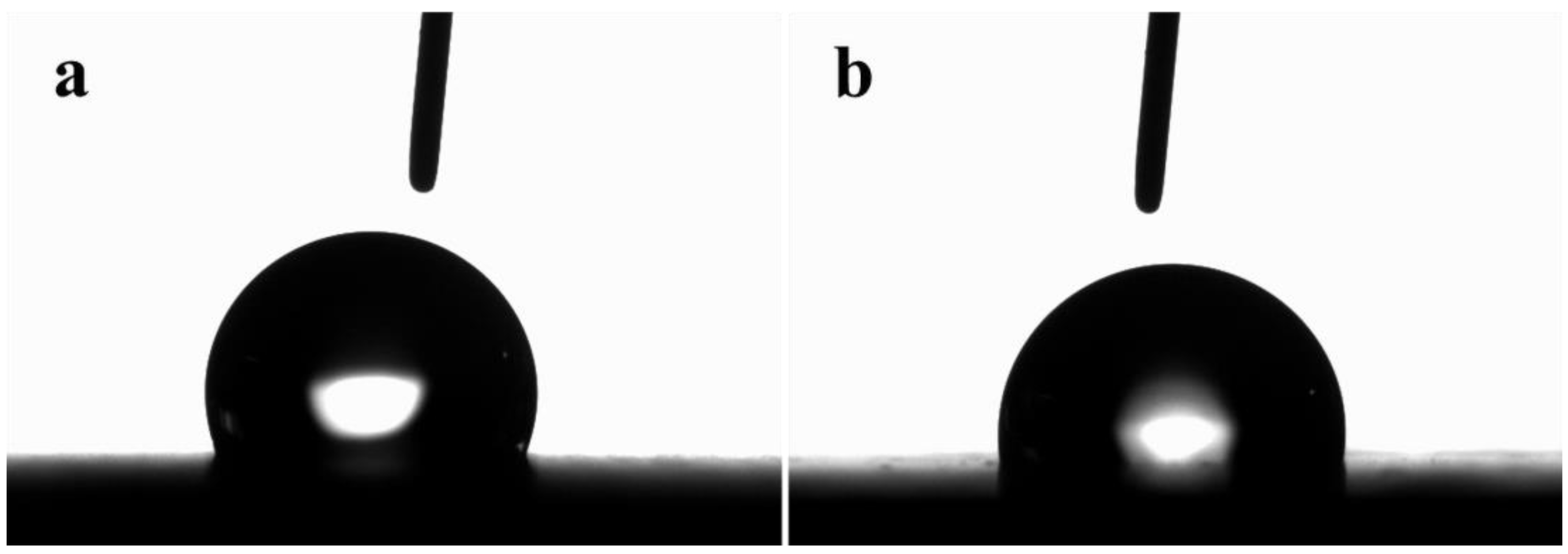 Coatings 12 01651 g004