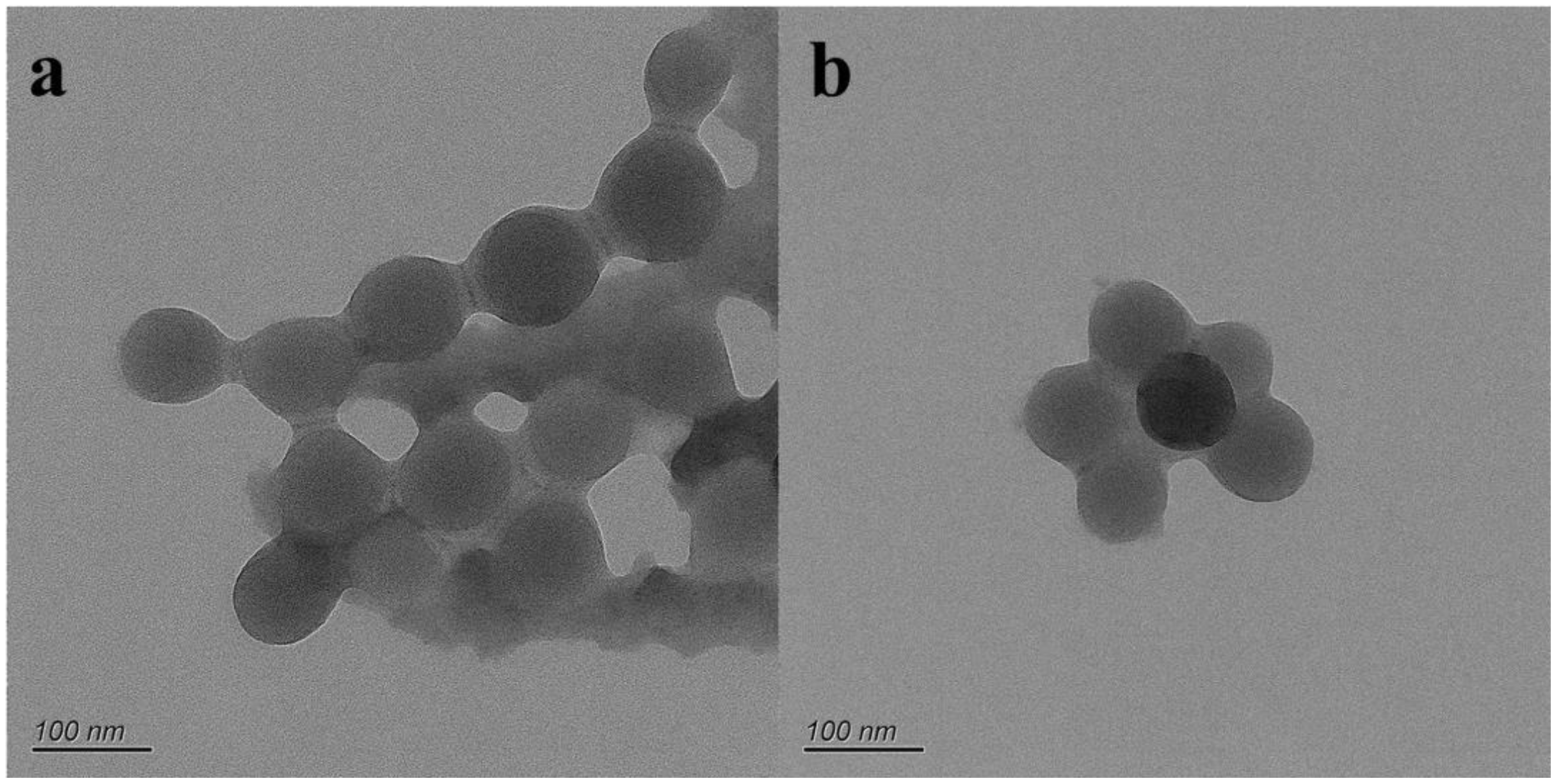 Coatings 12 01651 g005