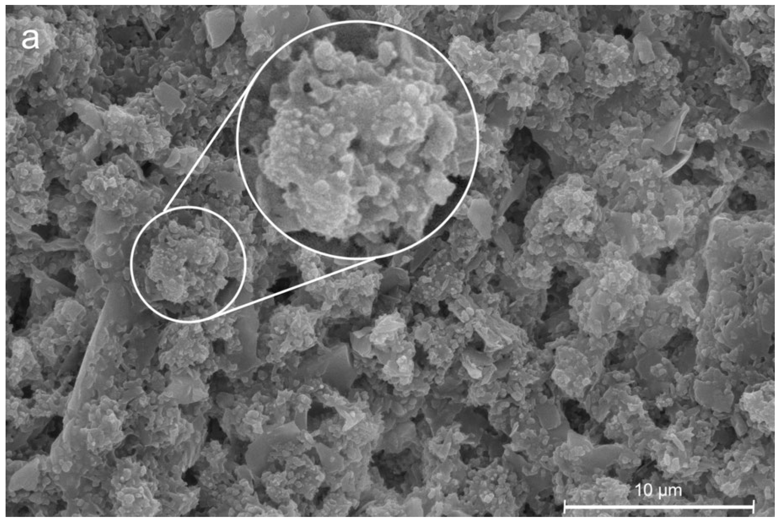 Coatings 12 01652 g002a