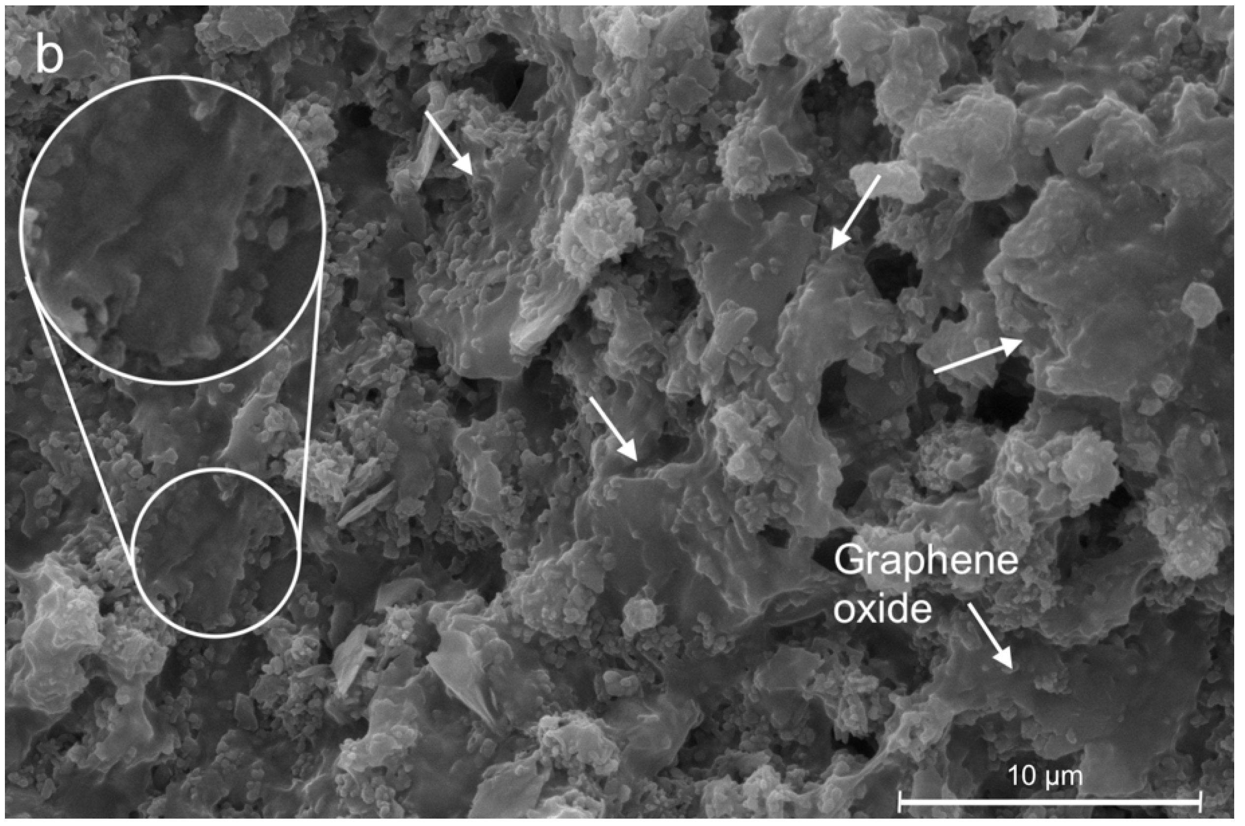Coatings 12 01652 g002b