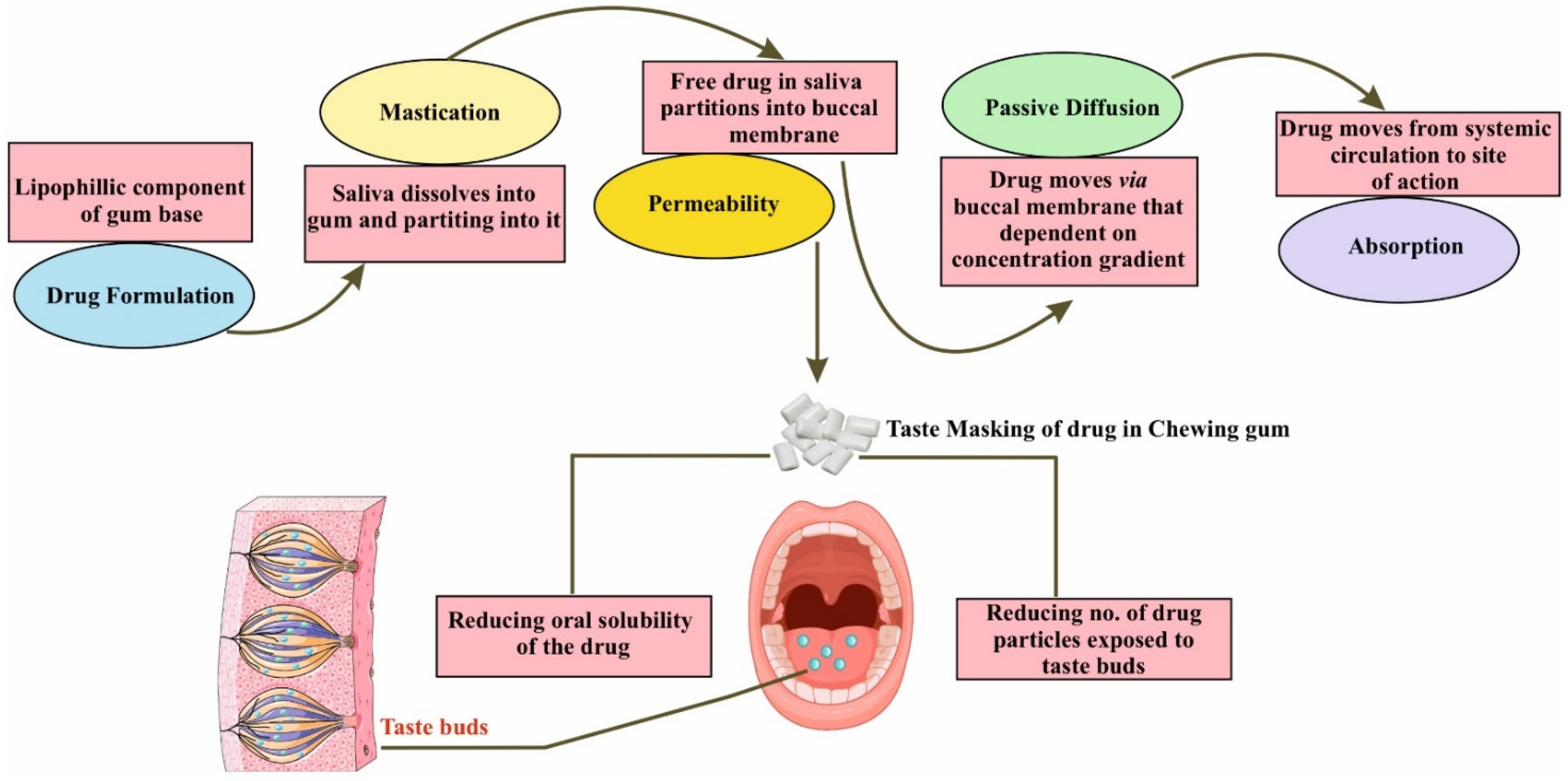 Coatings Free Full Text Flavor Microencapsulation For Taste Masking coatings-free-full-text-flavor-microencapsulation-for-taste-masking