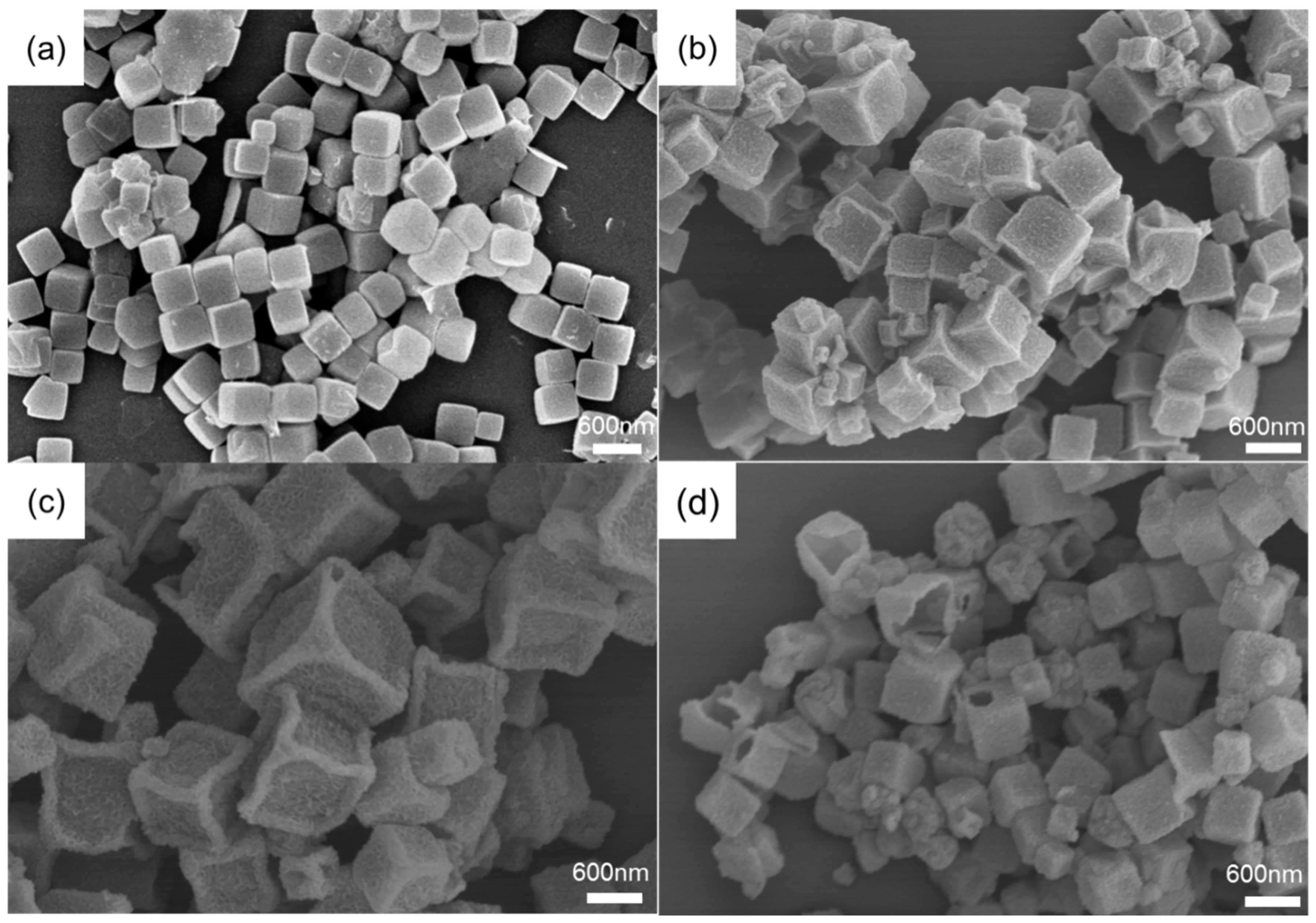 Coatings 12 01667 g002 550