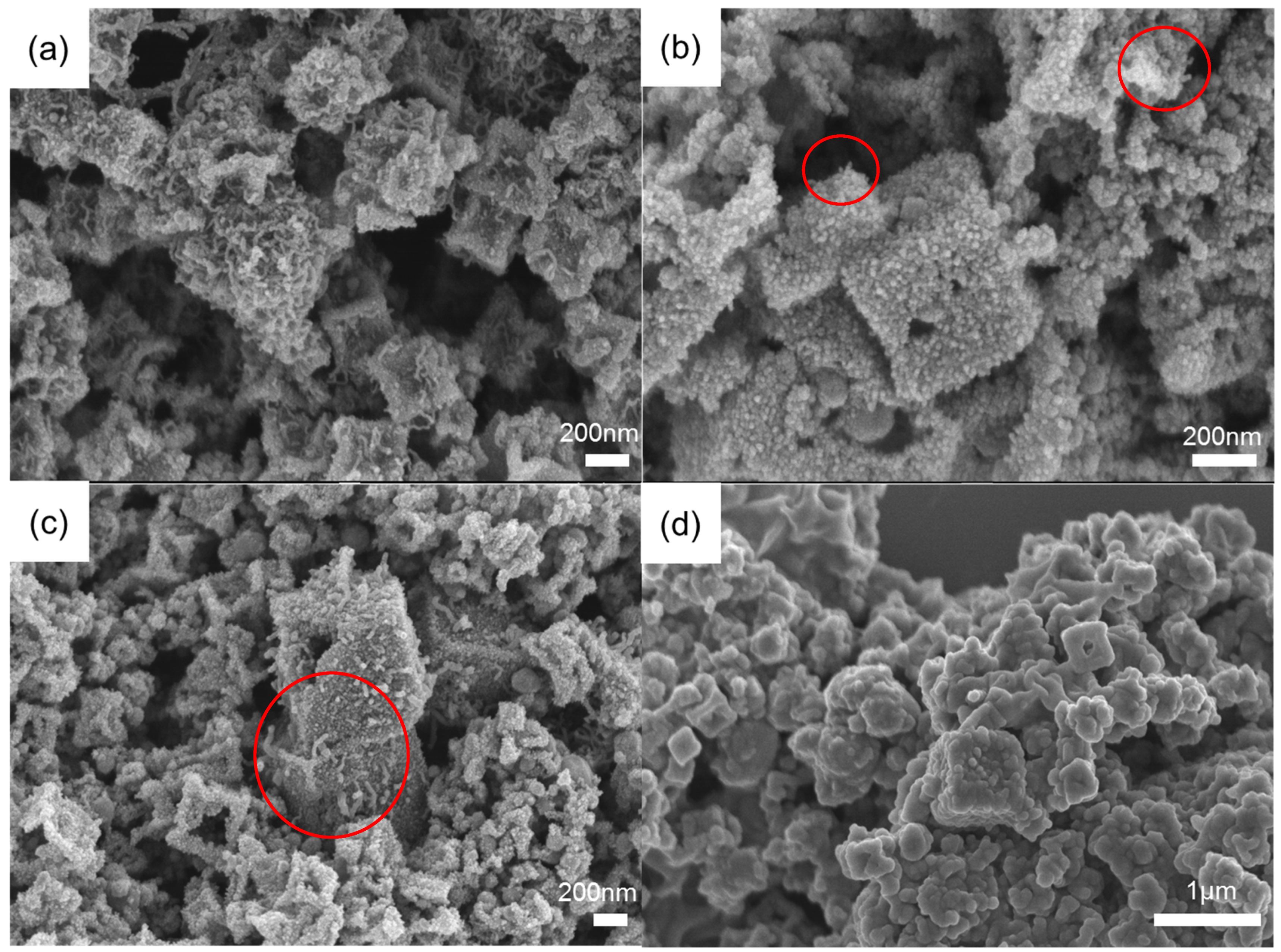 Coatings 12 01667 g003 550