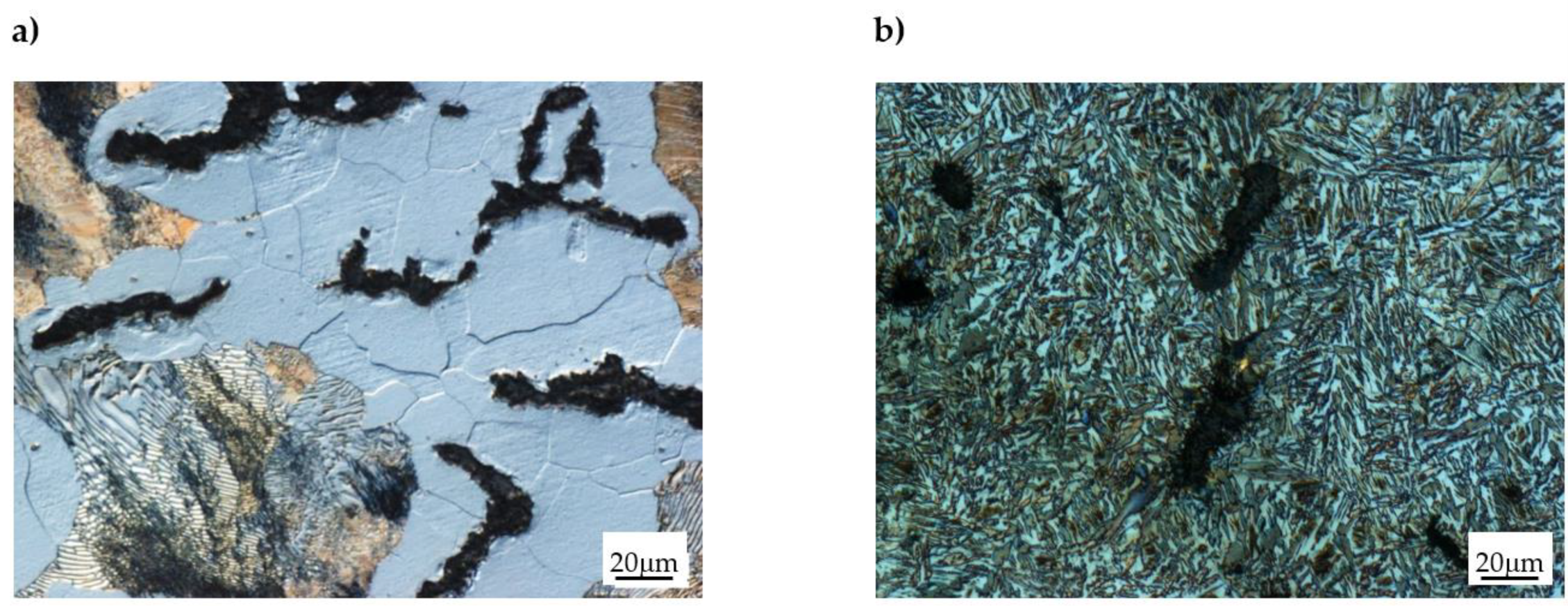 Coatings 12 01676 g001
