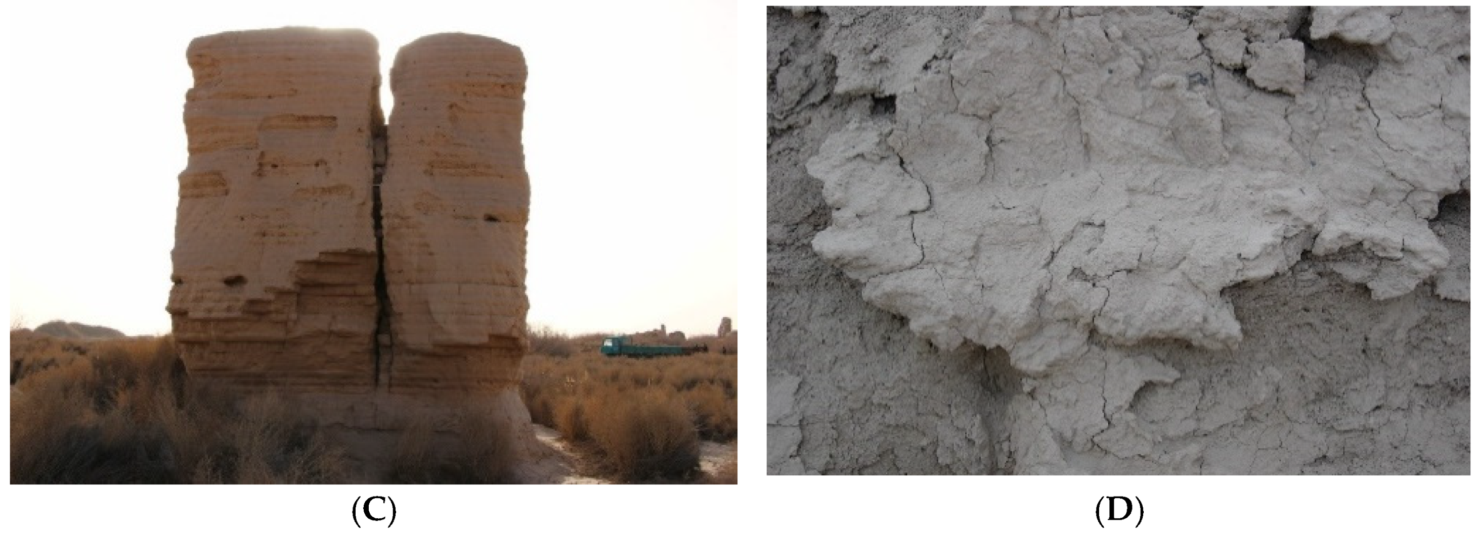 Coatings 12 01677 g002b