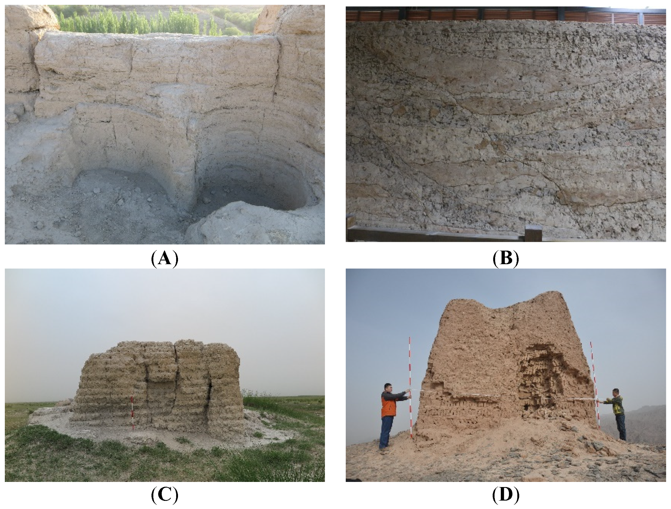 Coatings 12 01677 g004a