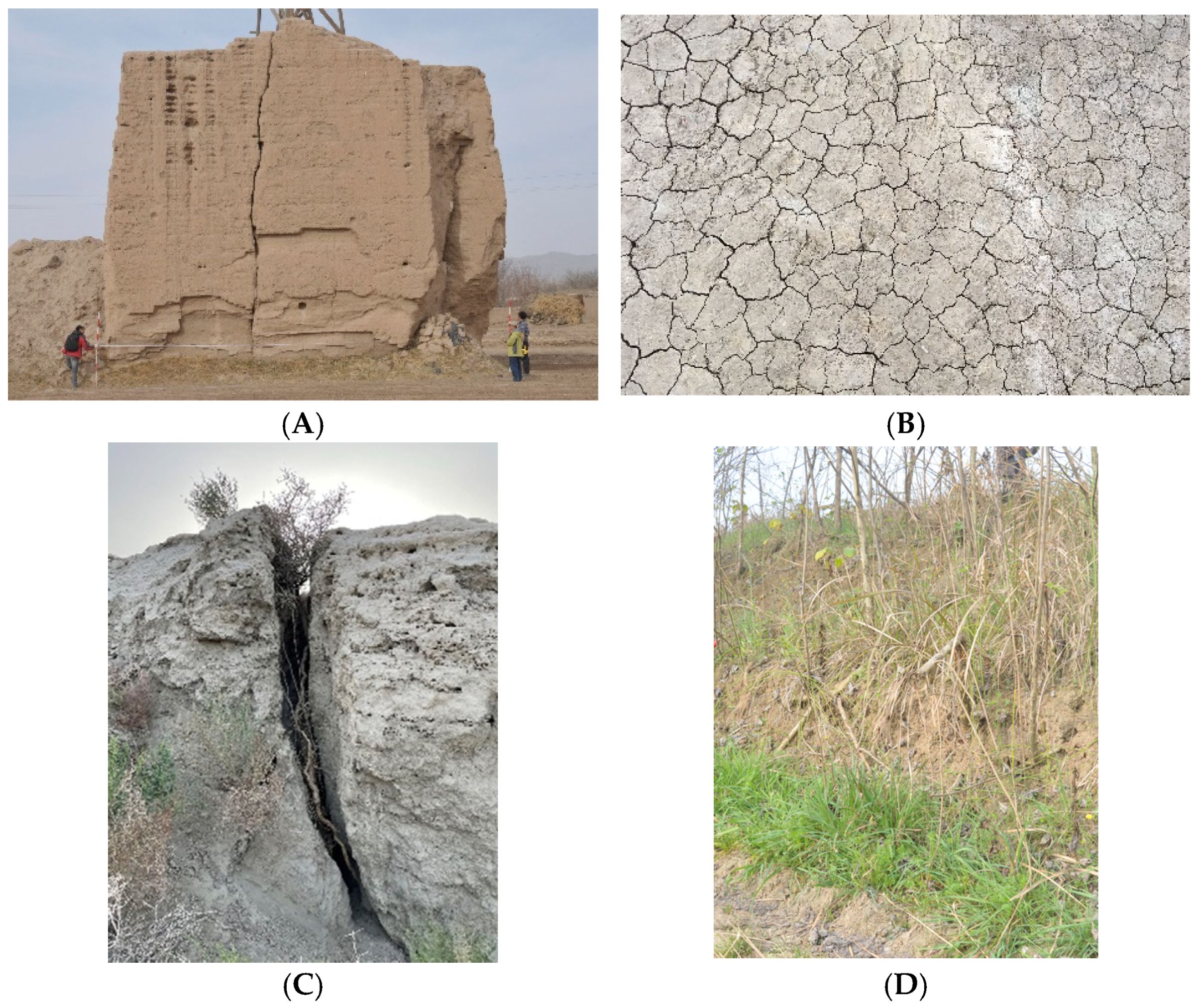 Coatings 12 01677 g006