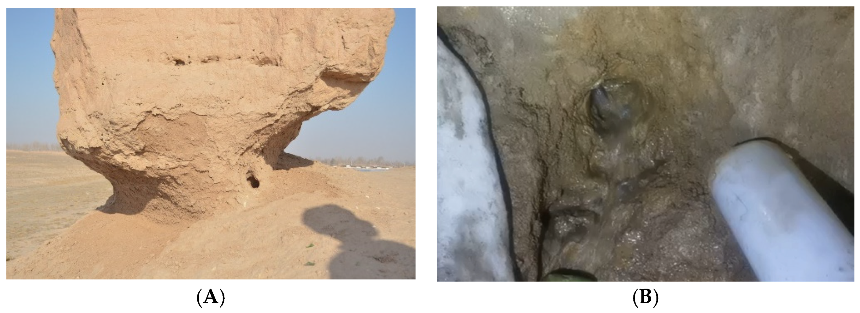 Coatings 12 01677 g008