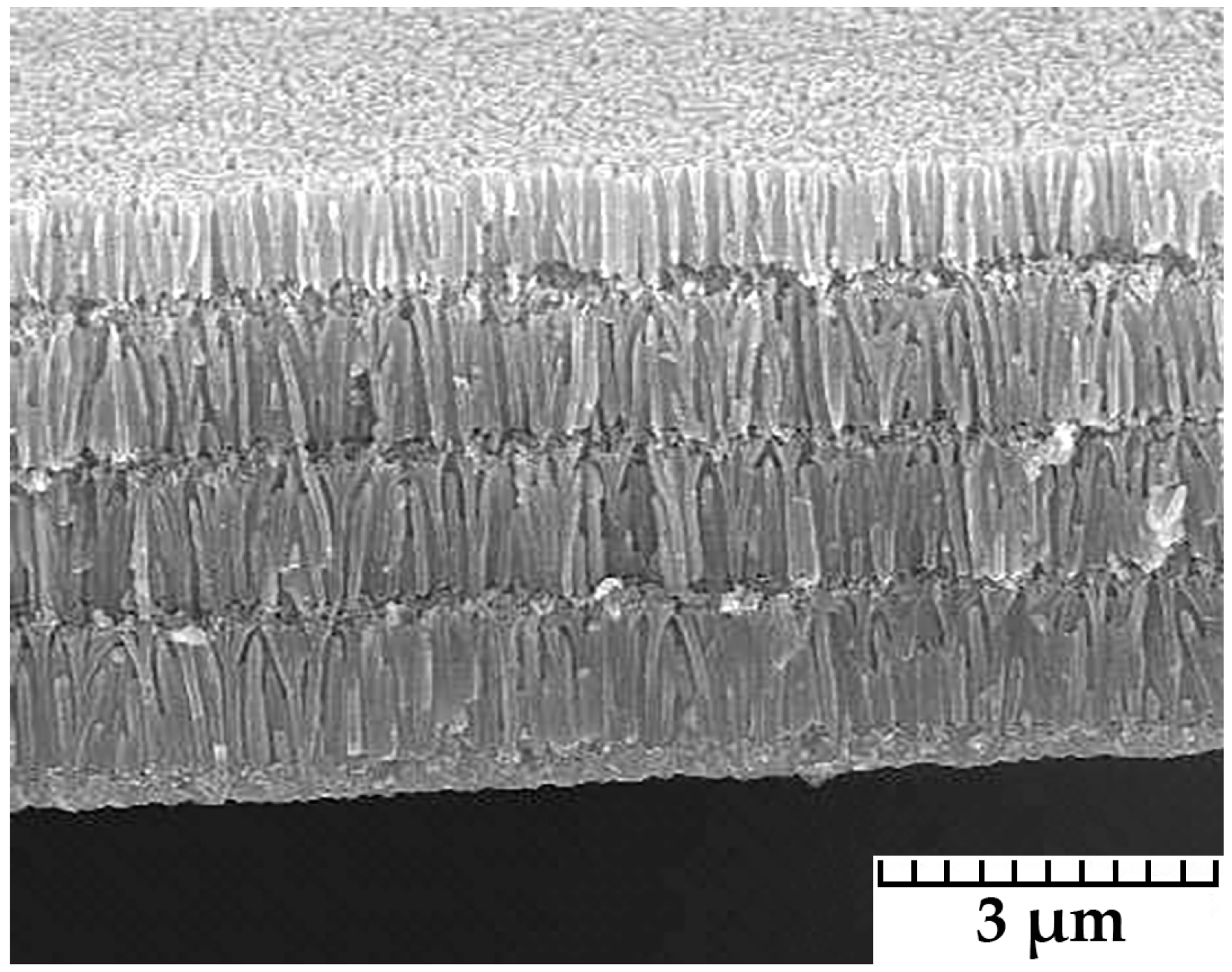 Coatings 12 01678 g001