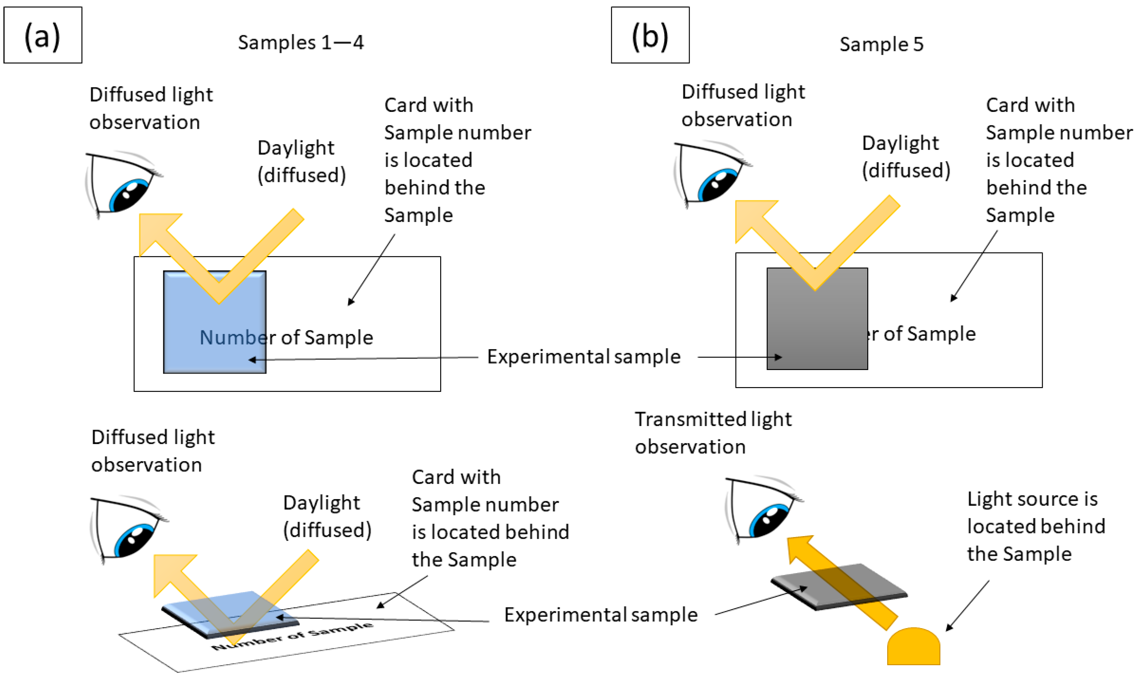 Coatings 12 01678 g002