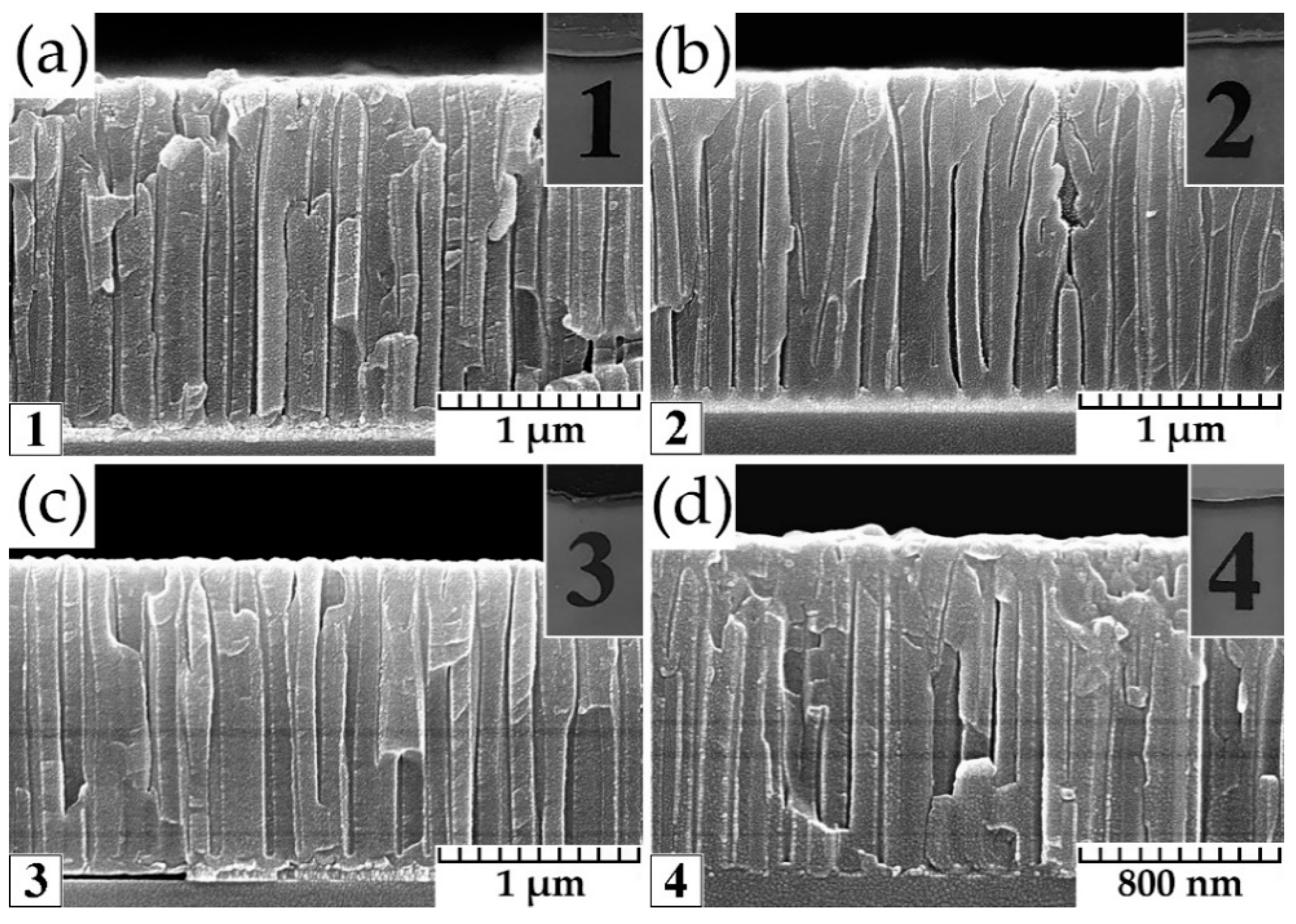 Coatings 12 01678 g003