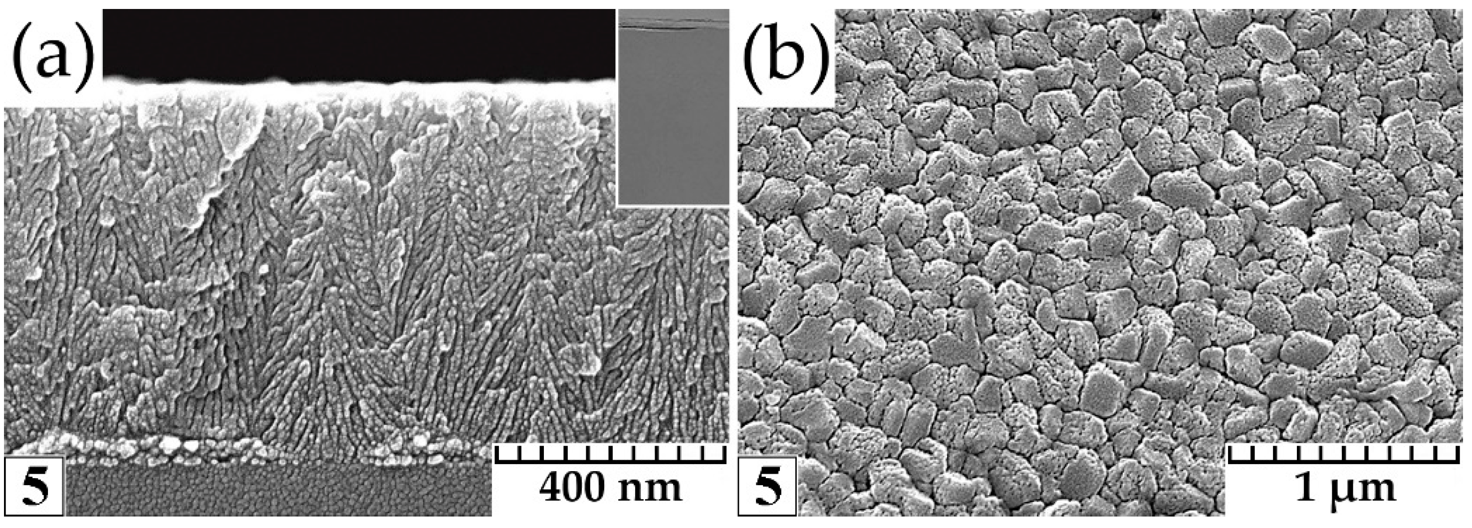 Coatings 12 01678 g005