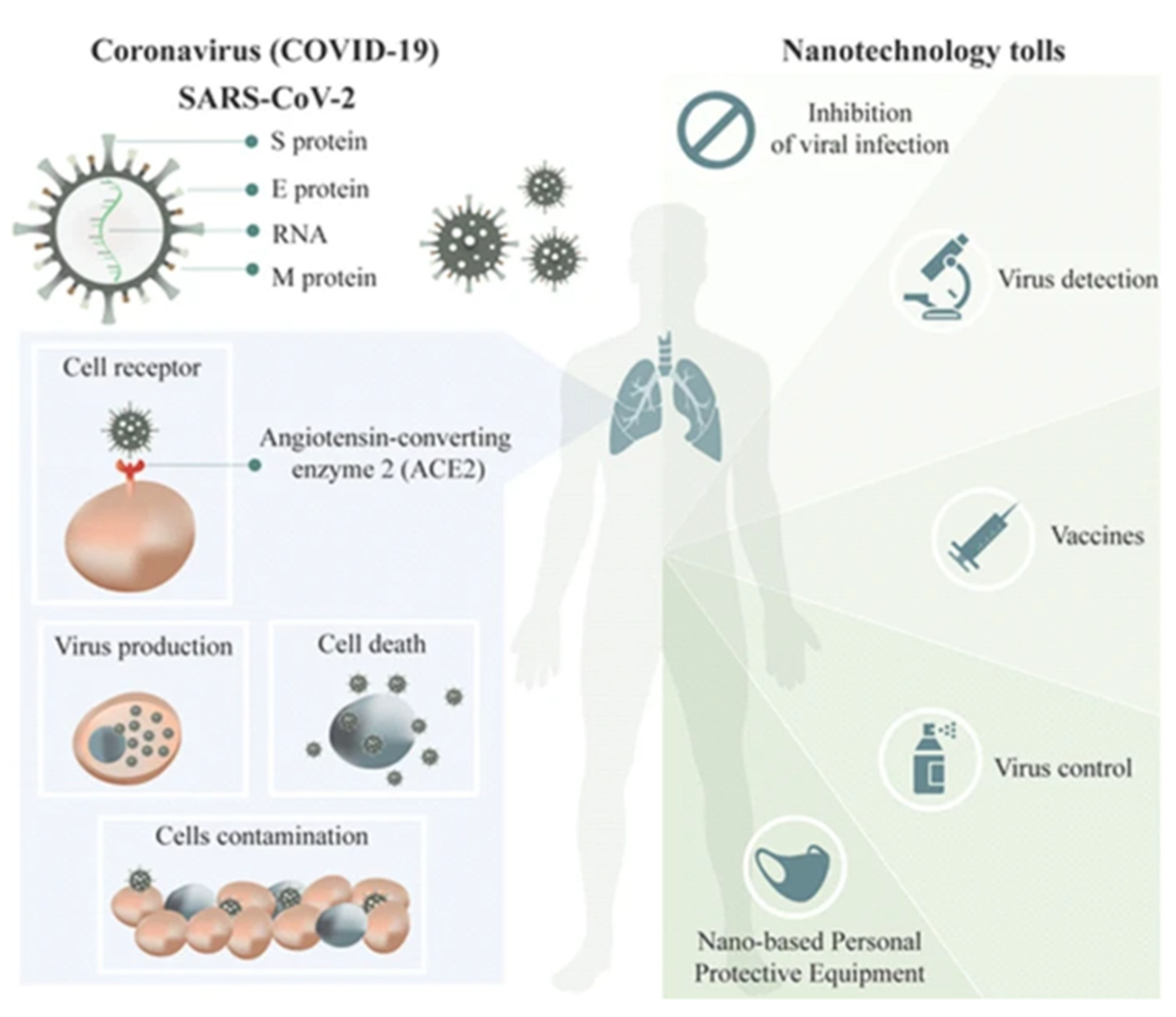 Coatings 12 01679 g007 Coatings 12 01679 g007