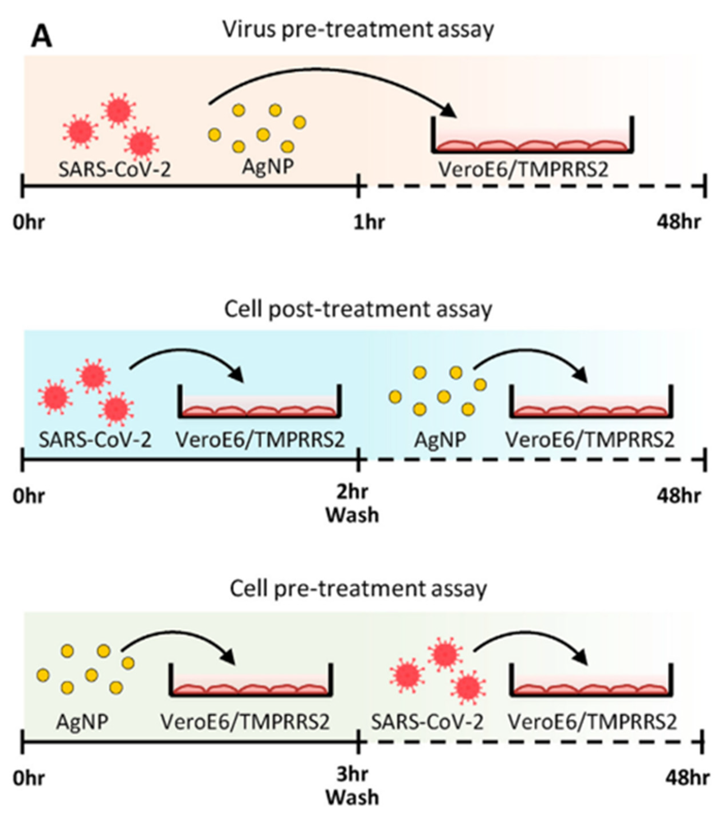 Coatings 12 01679 g008 Coatings 12 01679 g008