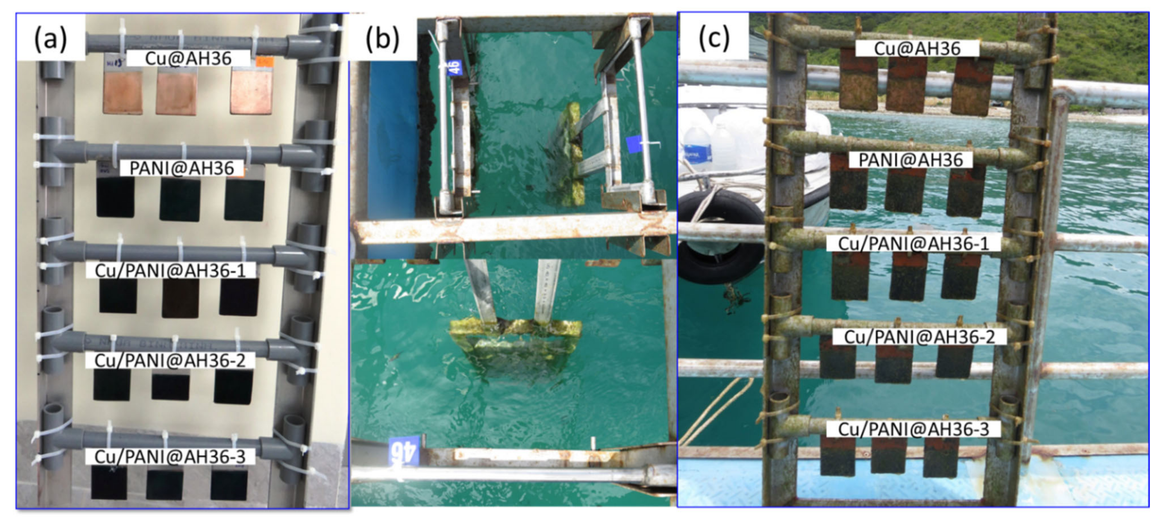 Coatings 12 01680 g007 Coatings 12 01680 g007