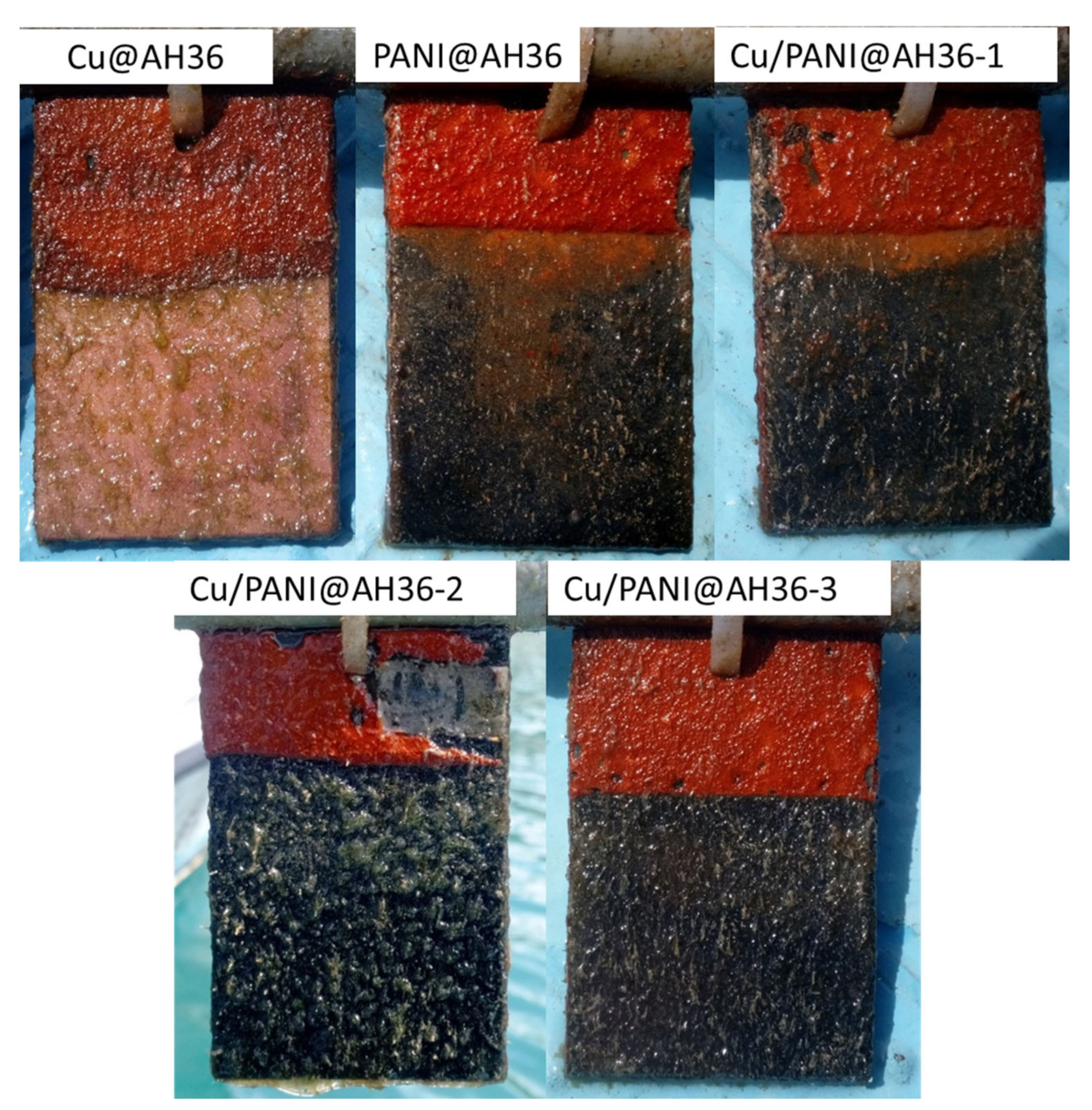 Coatings 12 01680 g008 Coatings 12 01680 g008