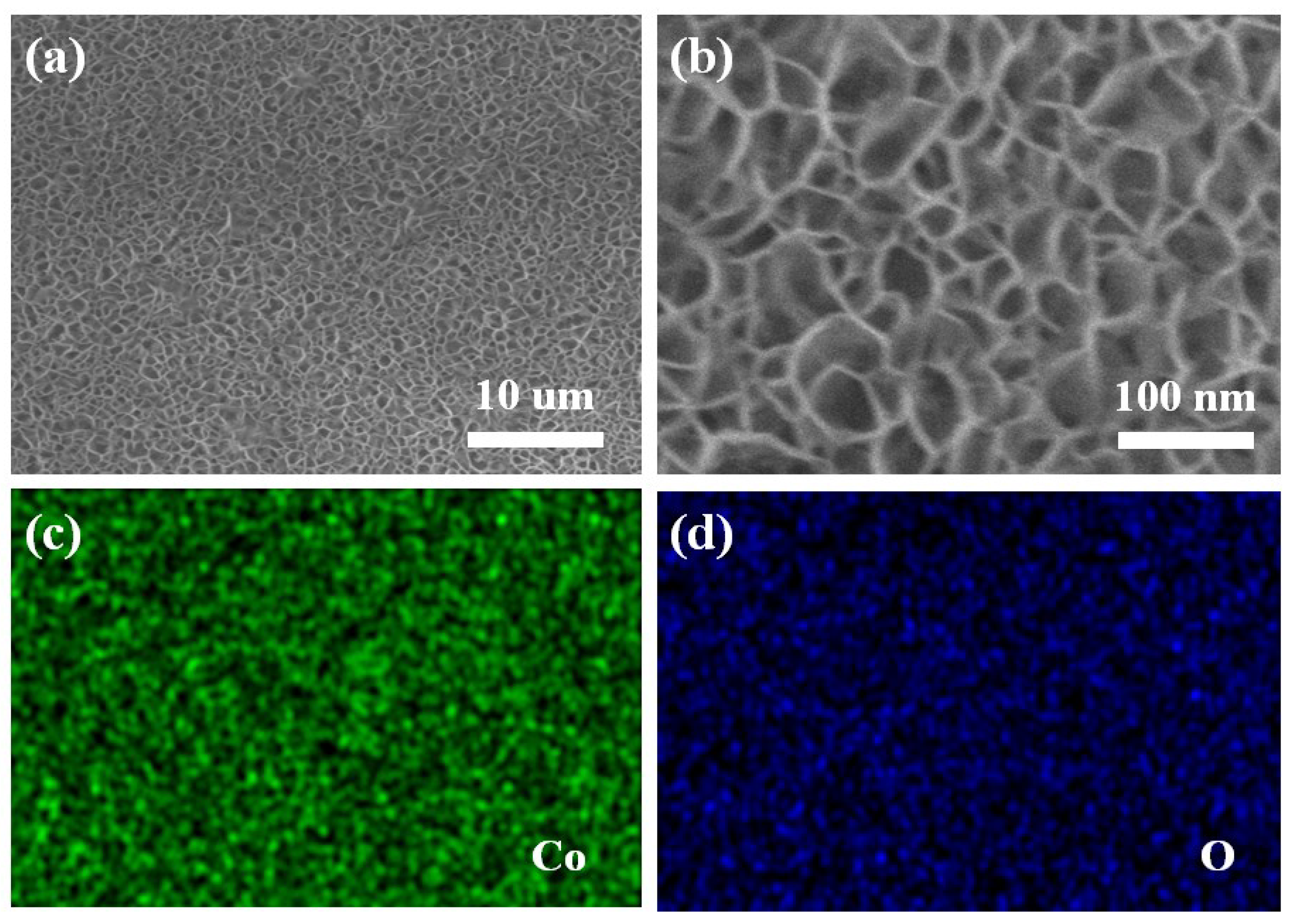 Coatings 12 01682 g001 Coatings 12 01682 g001