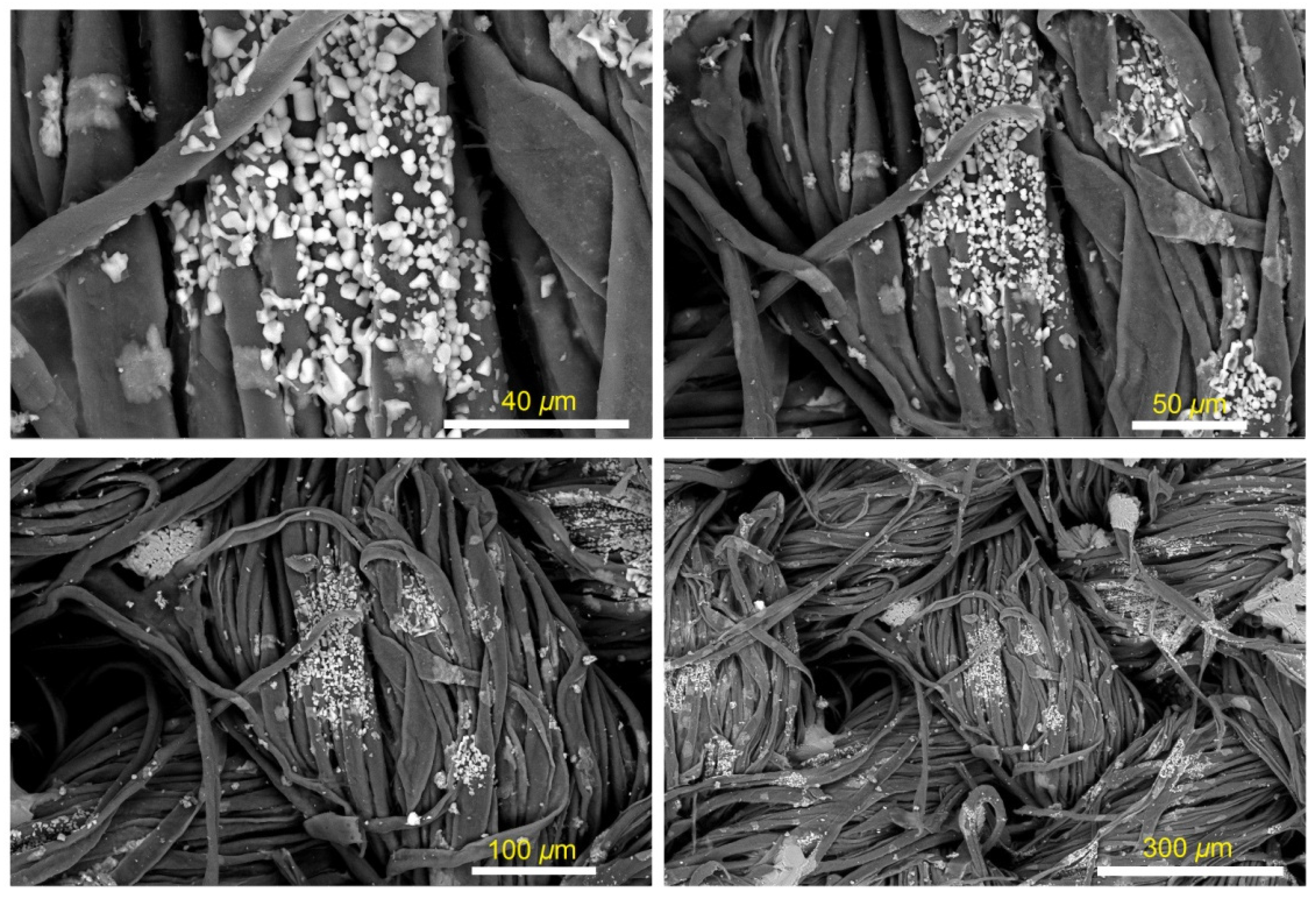 Coatings 12 01686 g001 Coatings 12 01686 g001