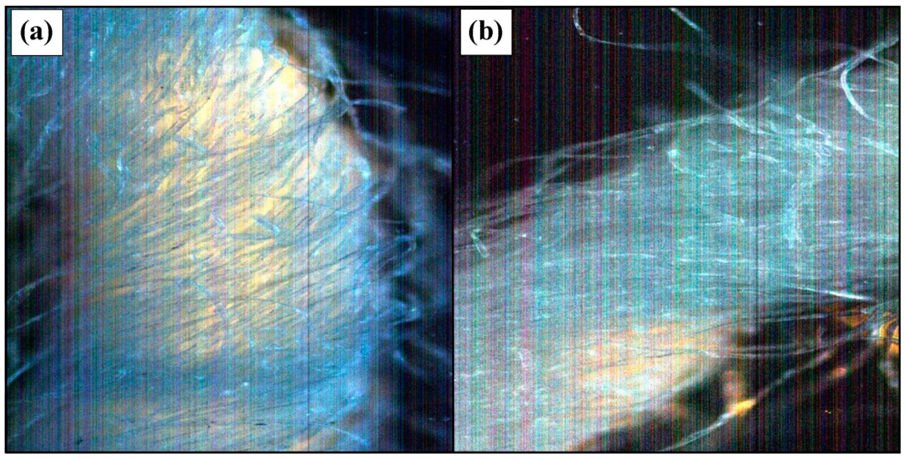 Coatings 12 01688 g008