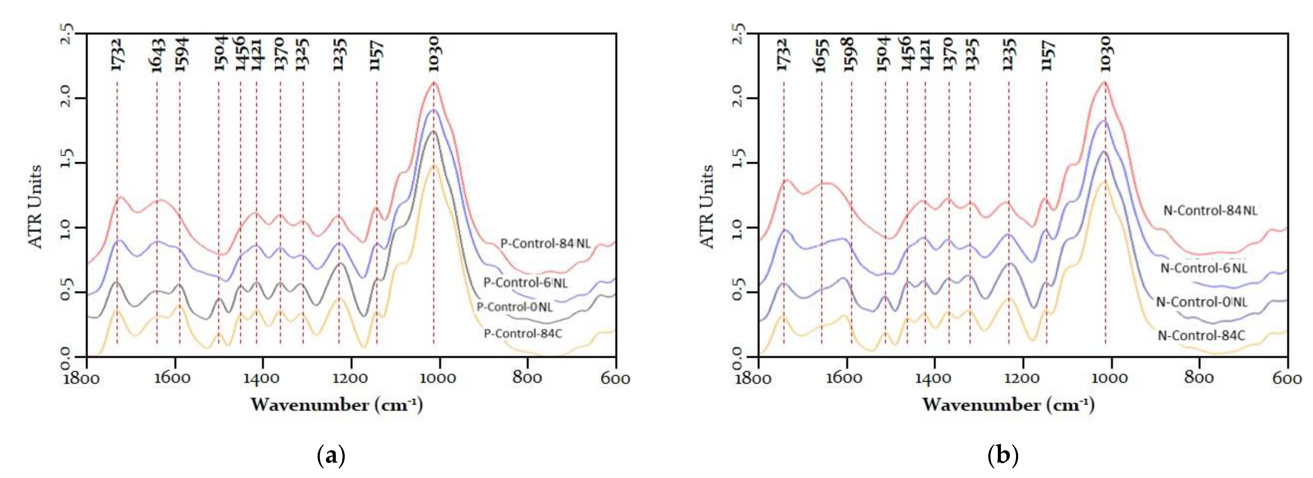 Coatings 12 01689 g004