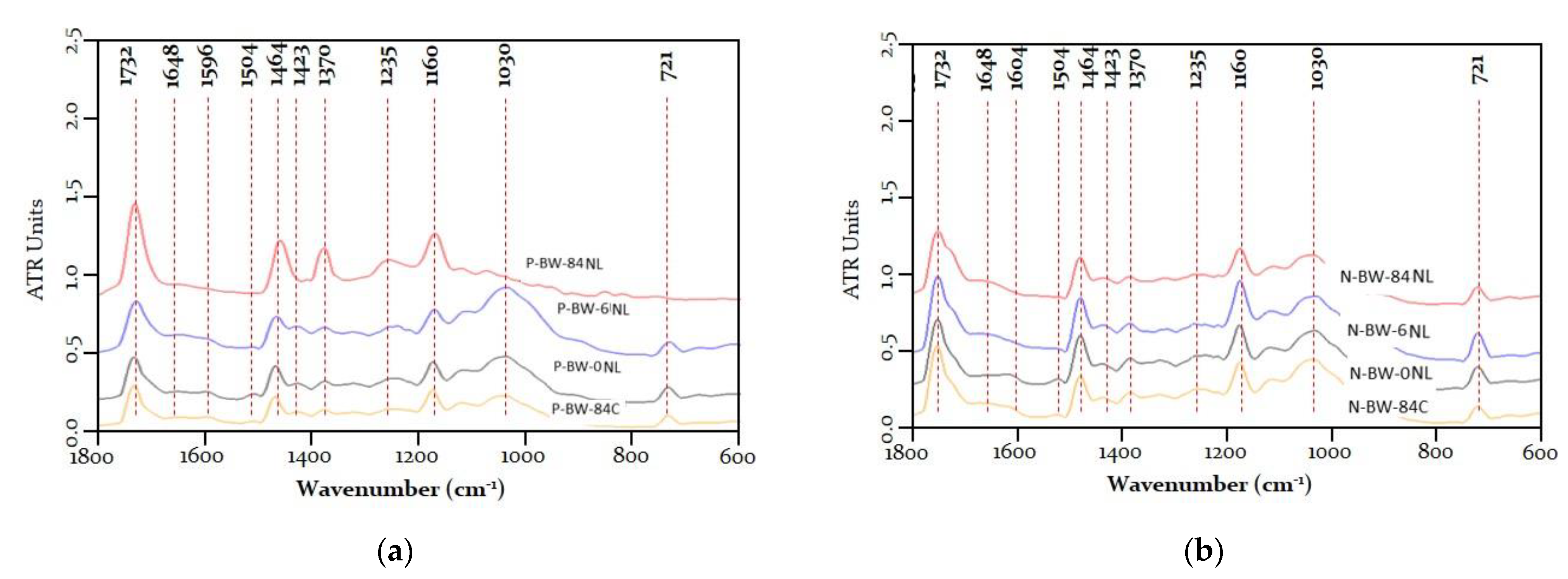 Coatings 12 01689 g005