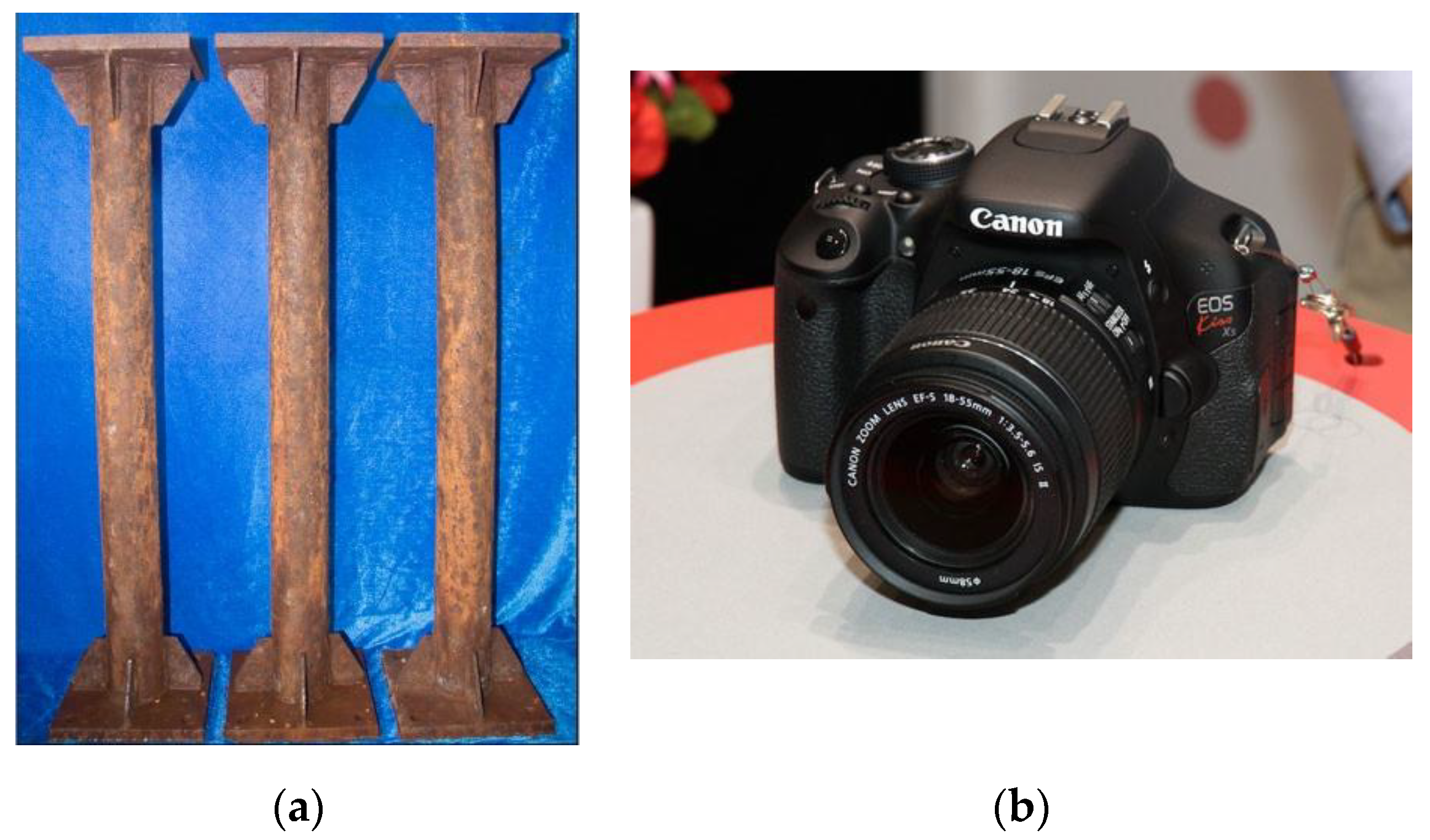 Coatings 12 01690 g001