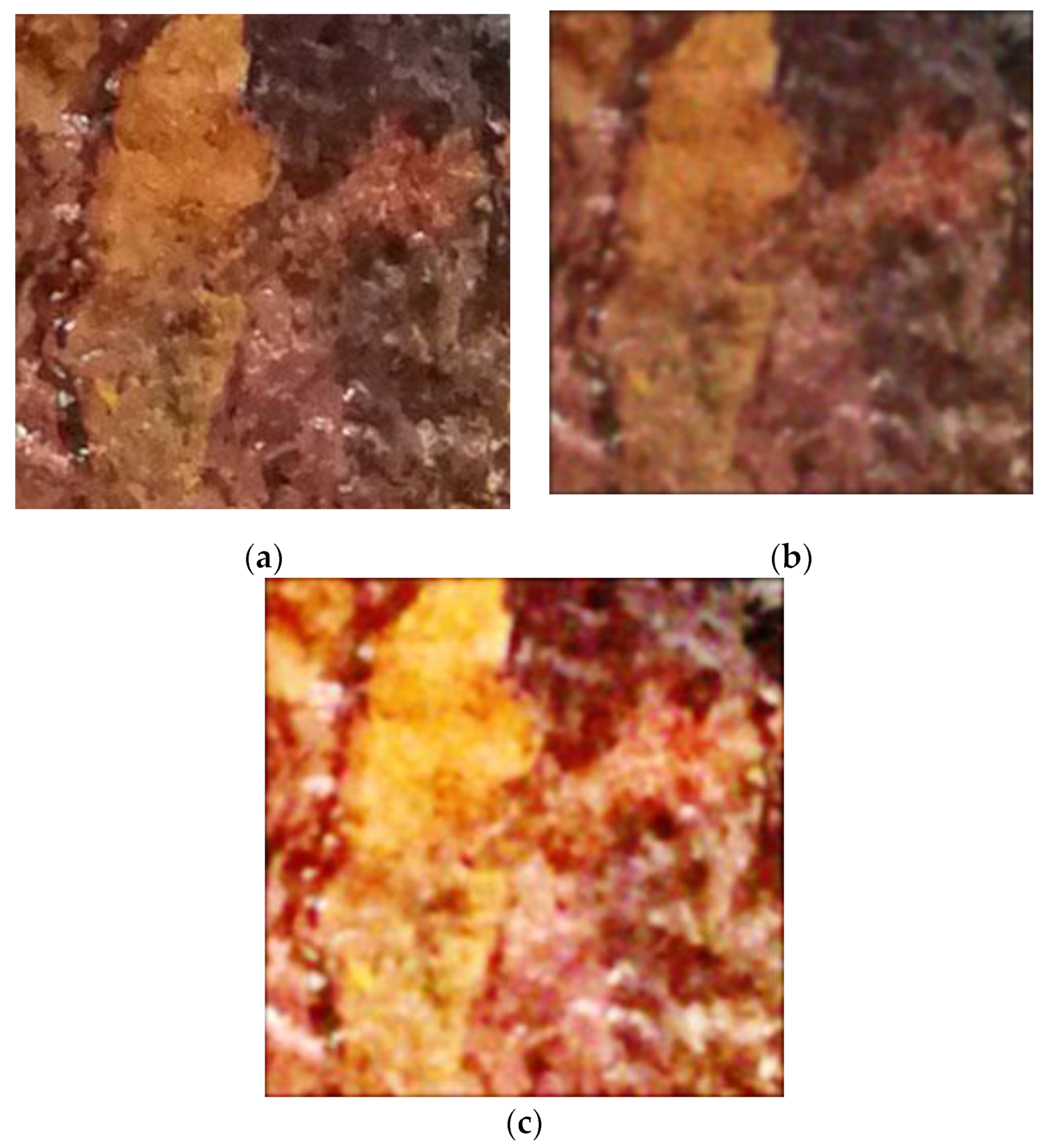 Coatings 12 01690 g002