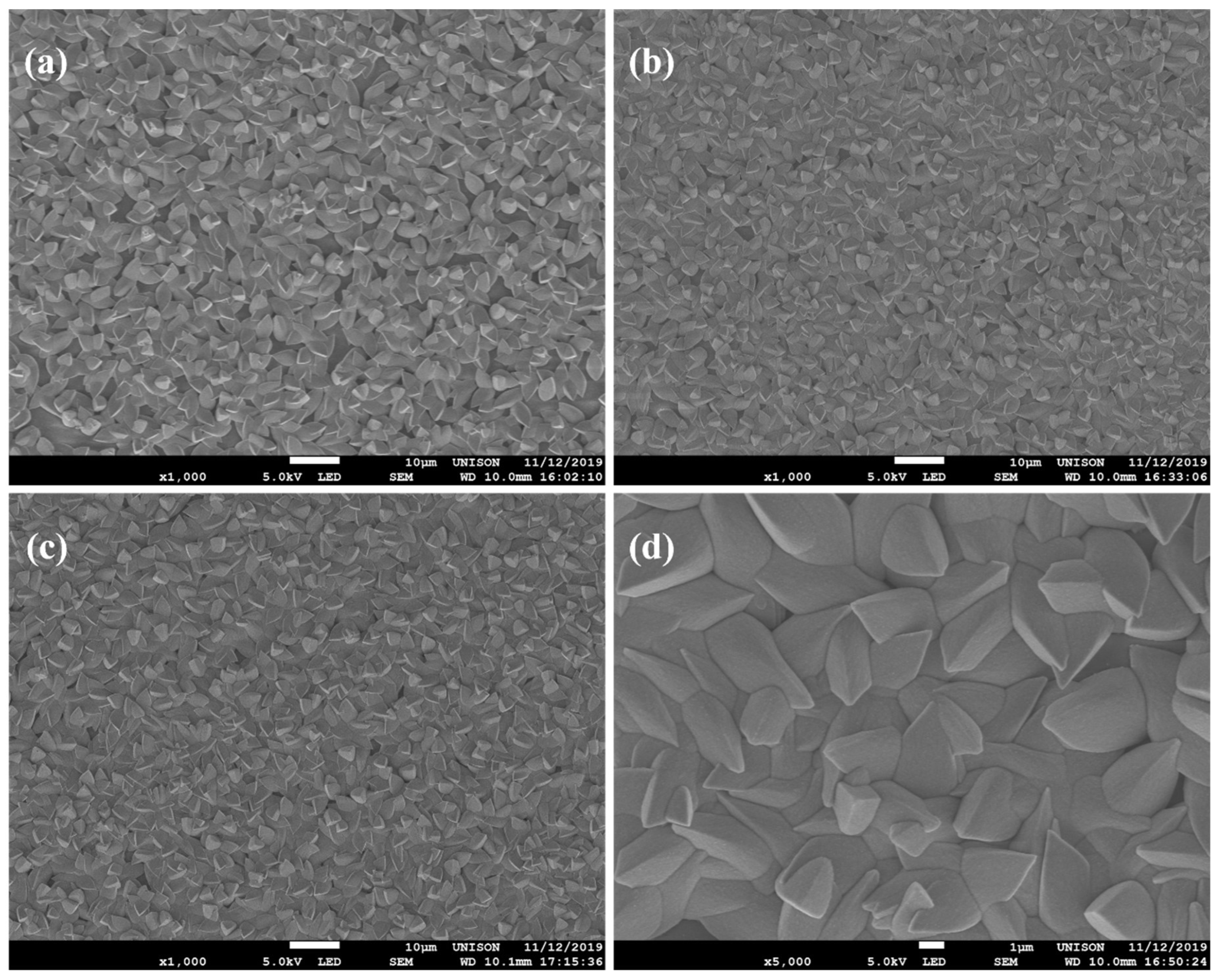 Coatings 12 01691 g004 Coatings 12 01691 g004