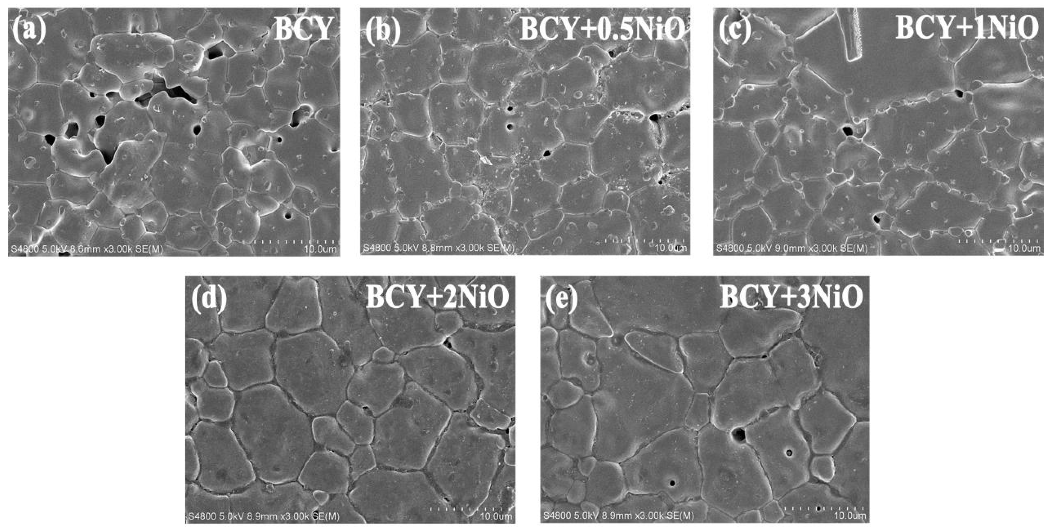 Coatings 12 01692 g004 Coatings 12 01692 g004