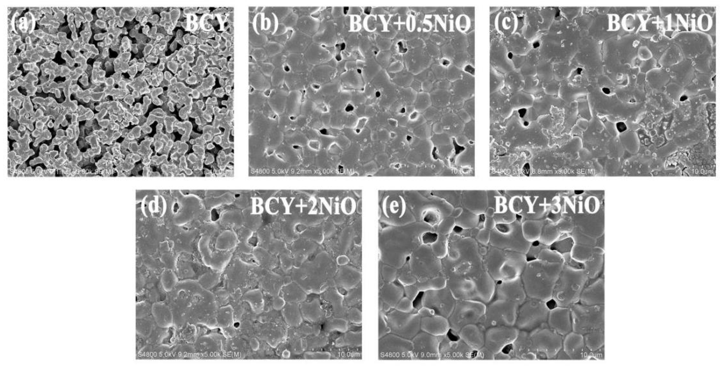 Coatings 12 01692 g007 Coatings 12 01692 g007