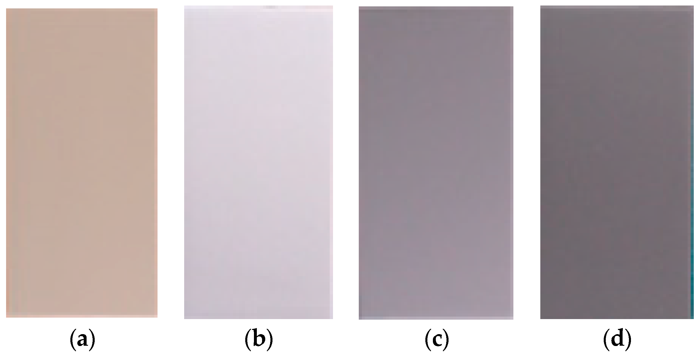 Coatings 12 01697 g001