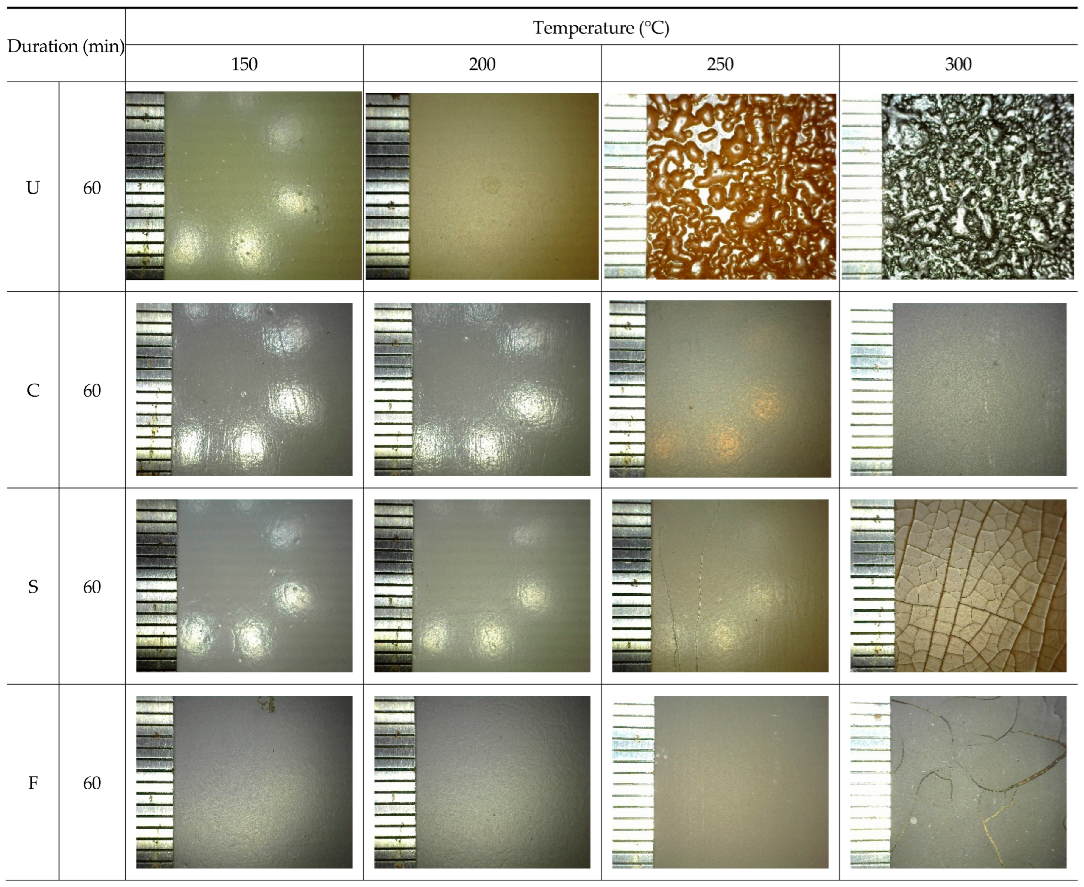Coatings 12 01697 g004