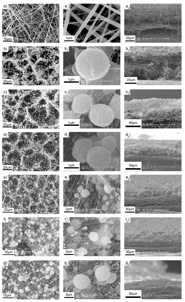 Coatings 12 01698 g010 Coatings 12 01698 g010
