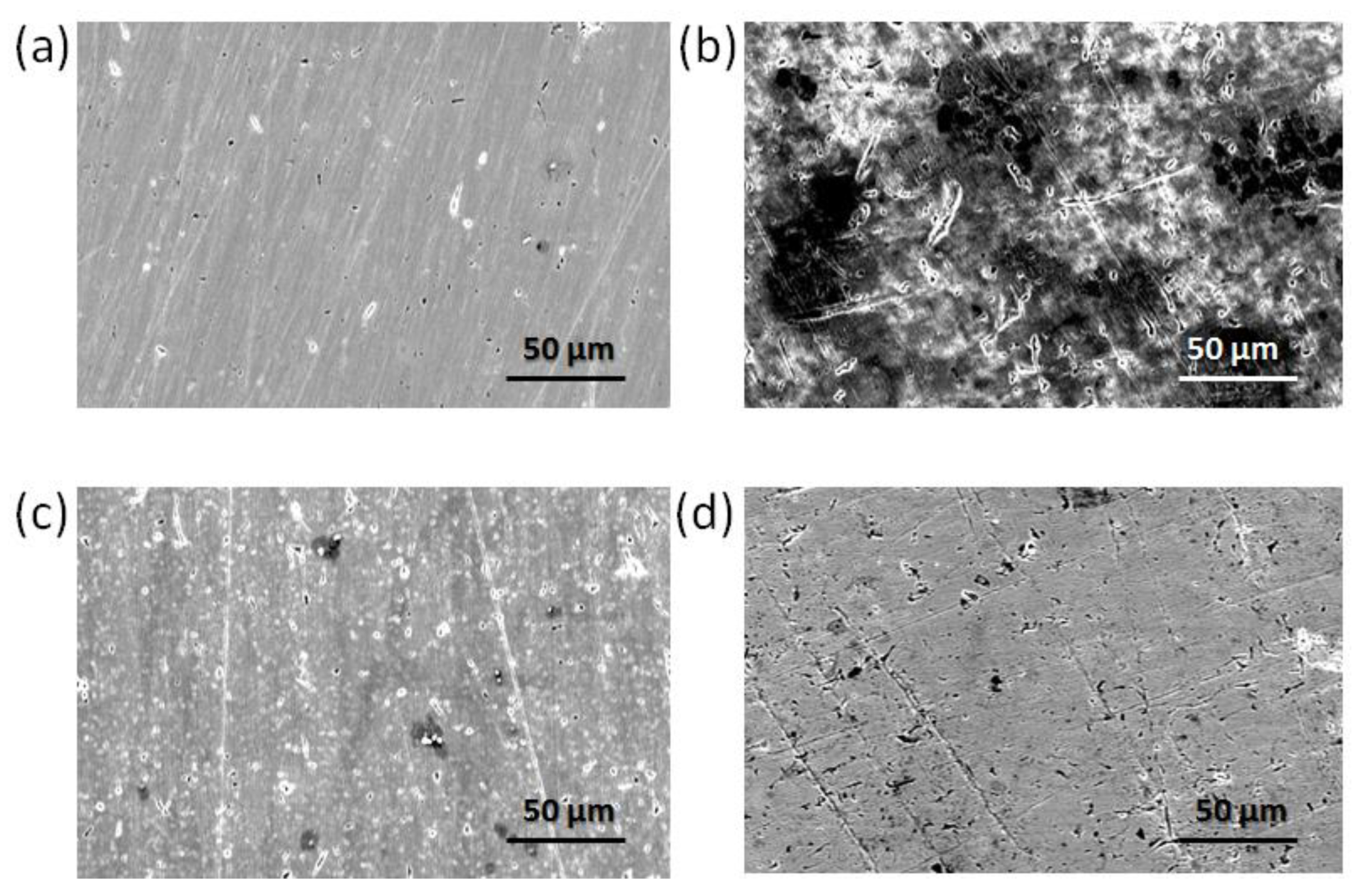 Coatings 12 01701 g009 Coatings 12 01701 g009