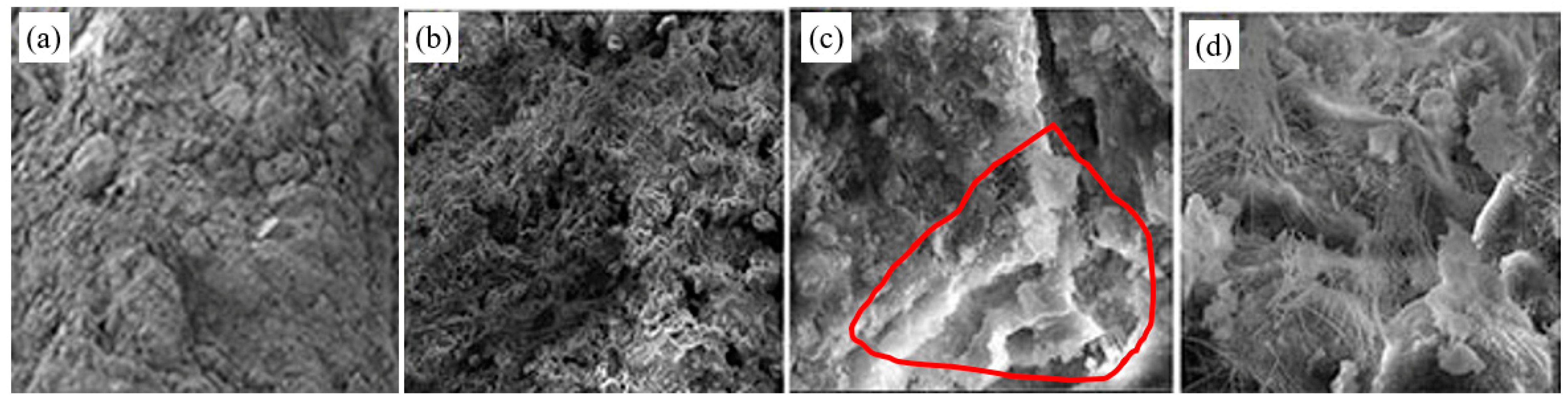 Coatings 12 01702 g008