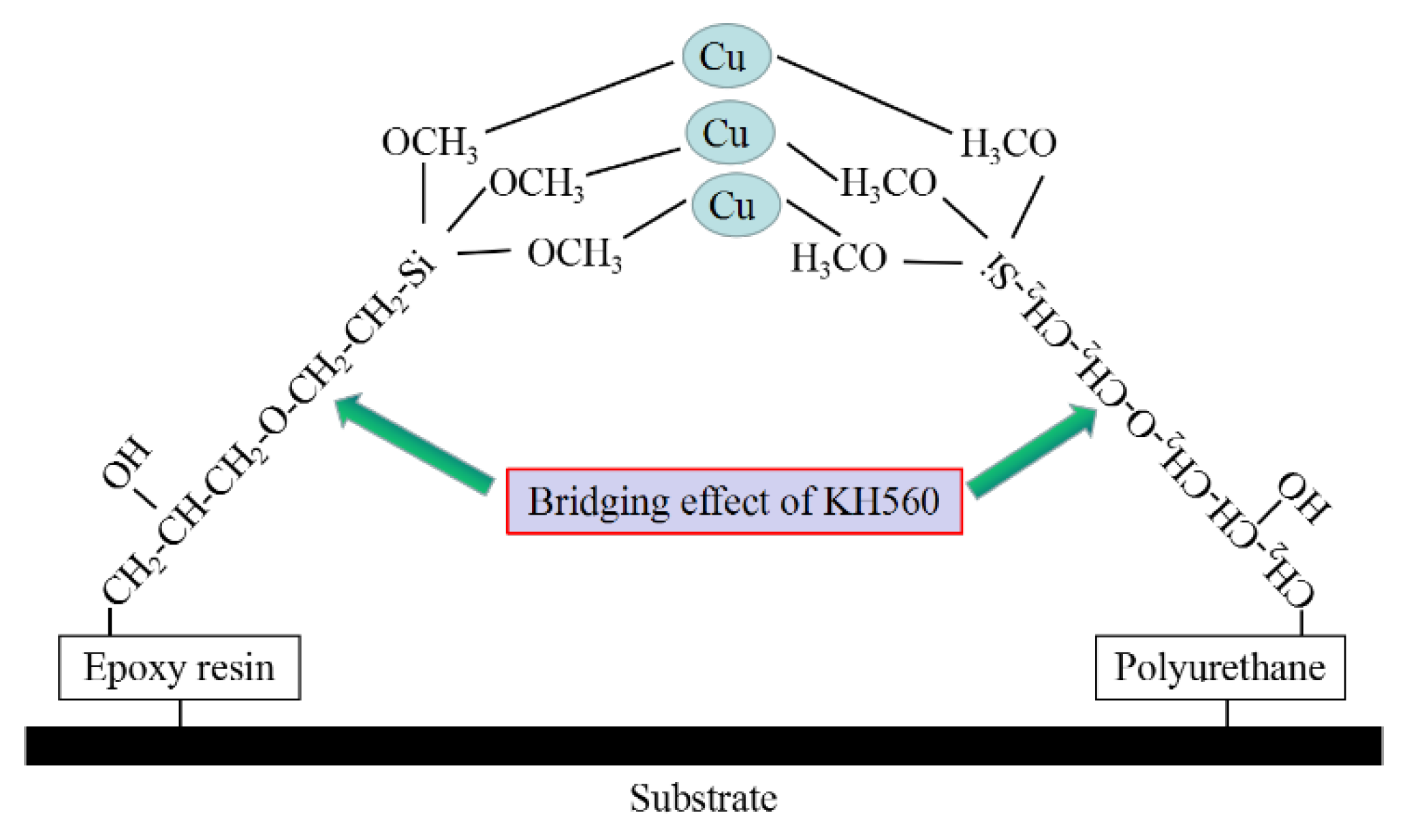 Coatings 12 01708 g005 Coatings 12 01708 g005