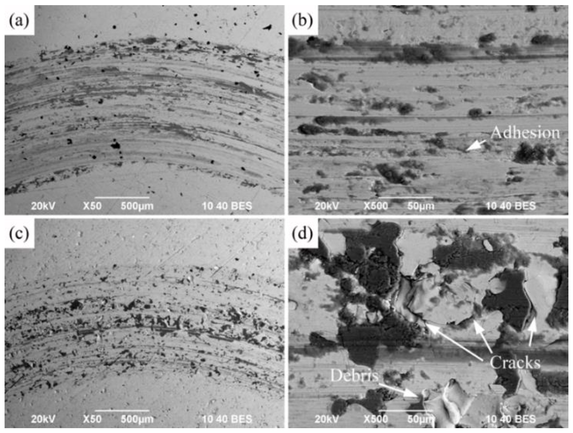 Coatings 12 01716 g007