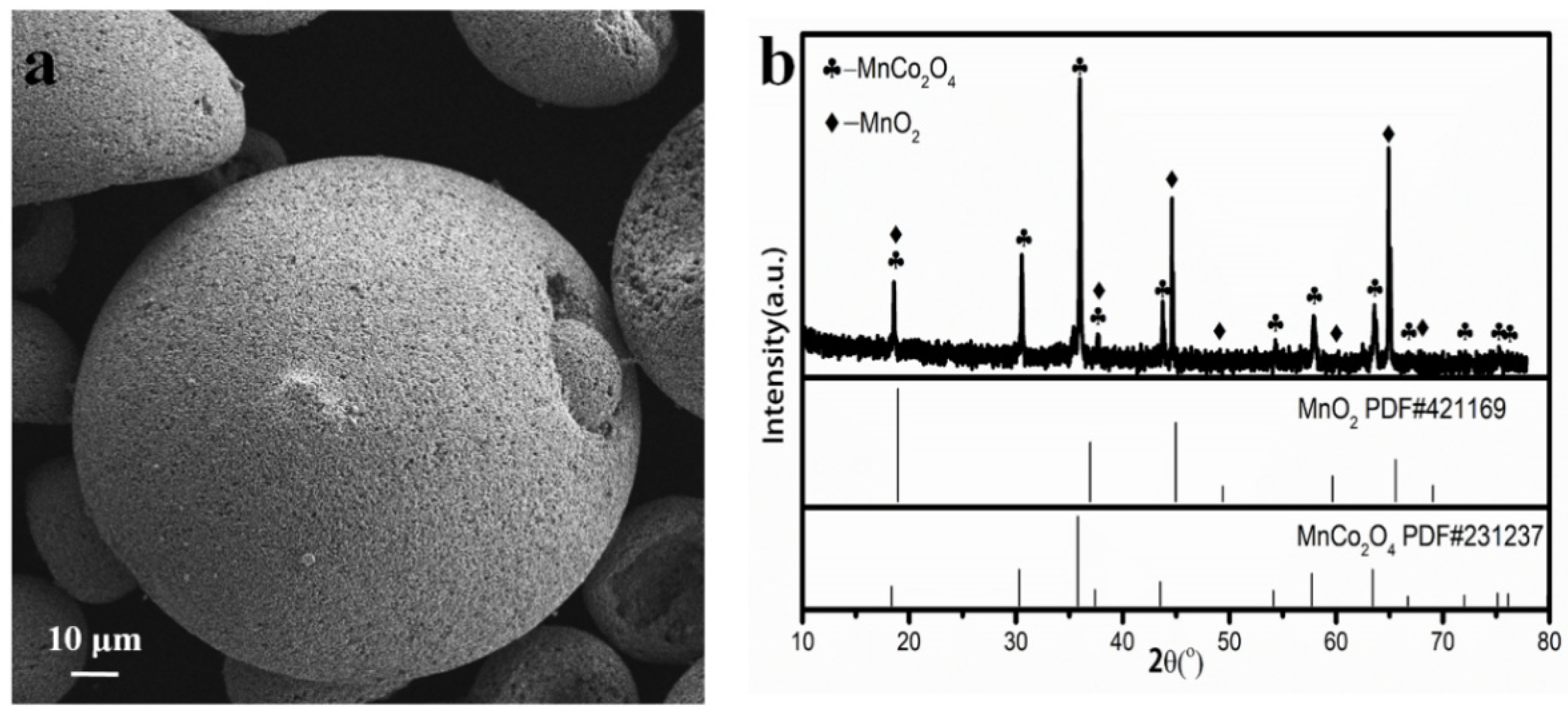 Coatings 12 01723 g003