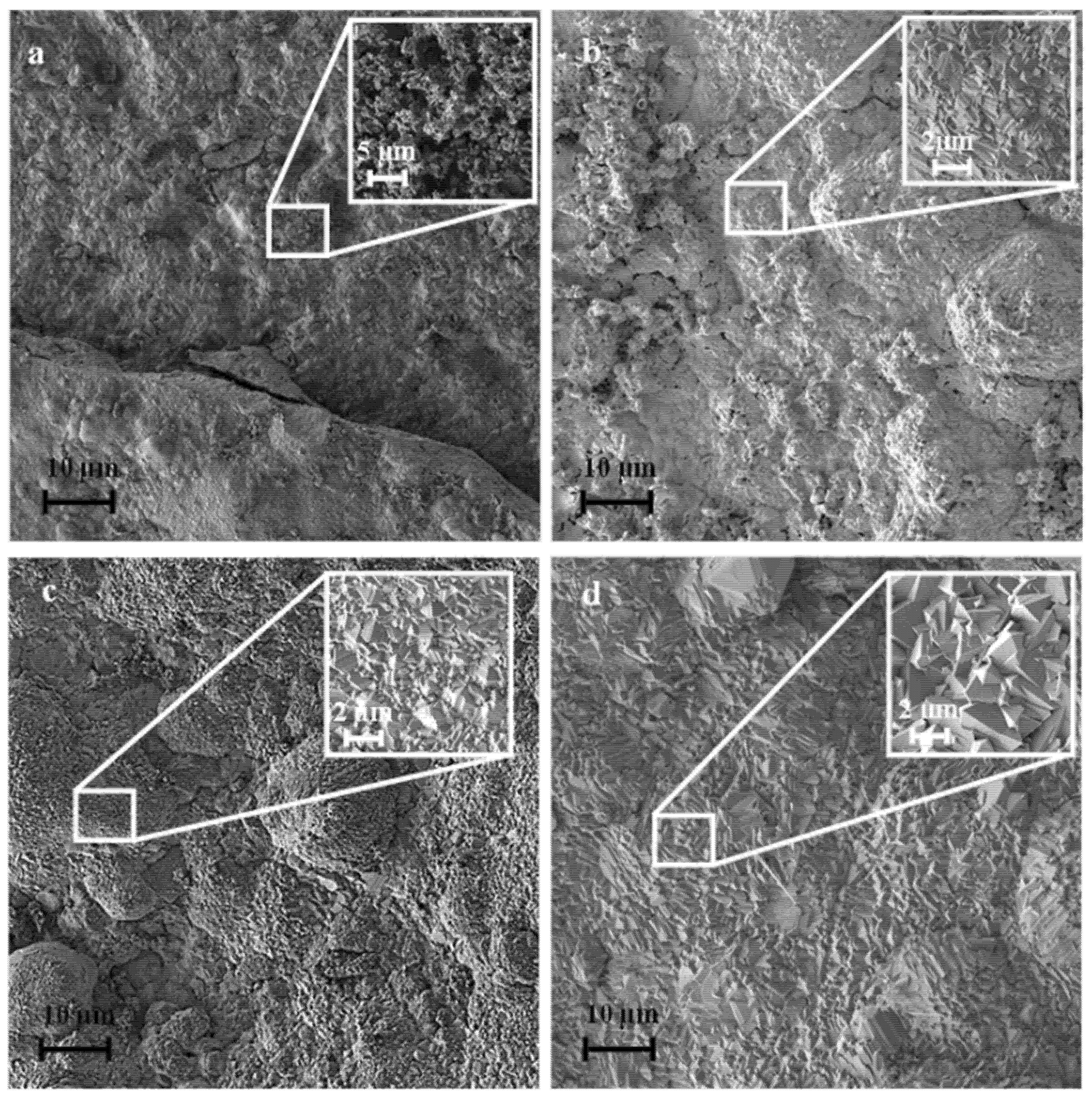 Coatings 12 01723 g006