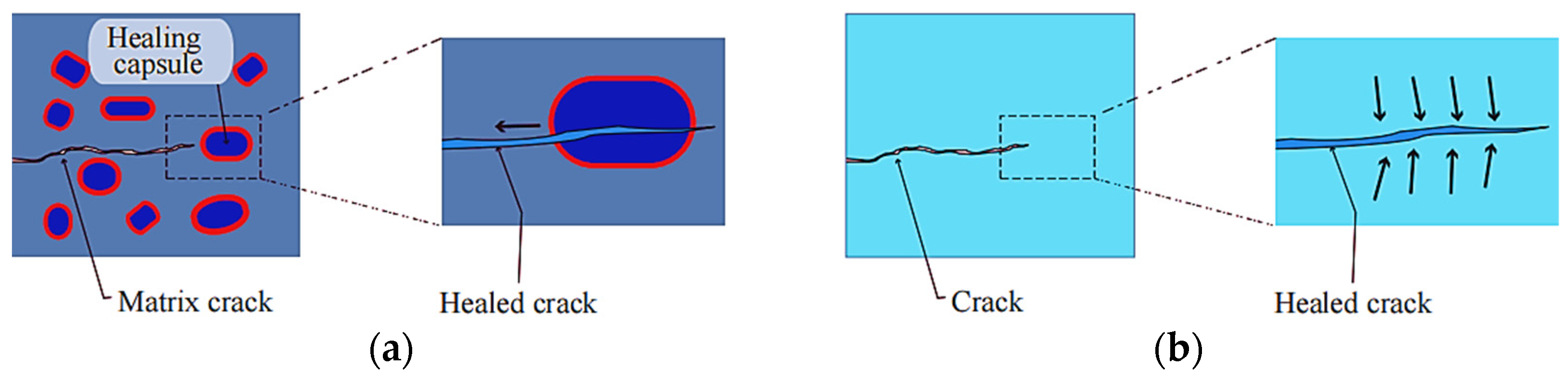 Coatings 12 01724 g002